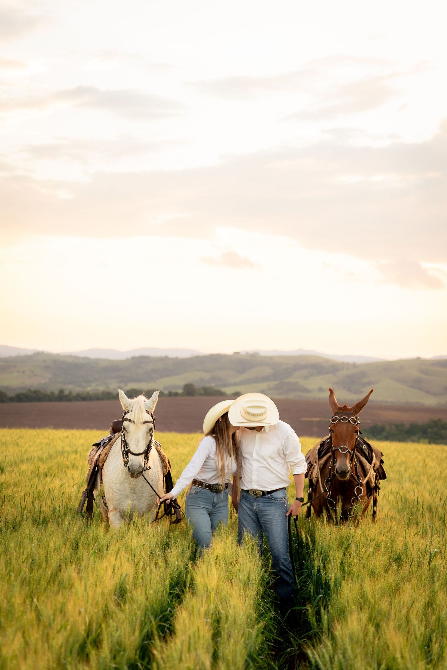 Two cowgirls in white hats and jeans lead a white and brown horse through a golden wheat field at sunset.