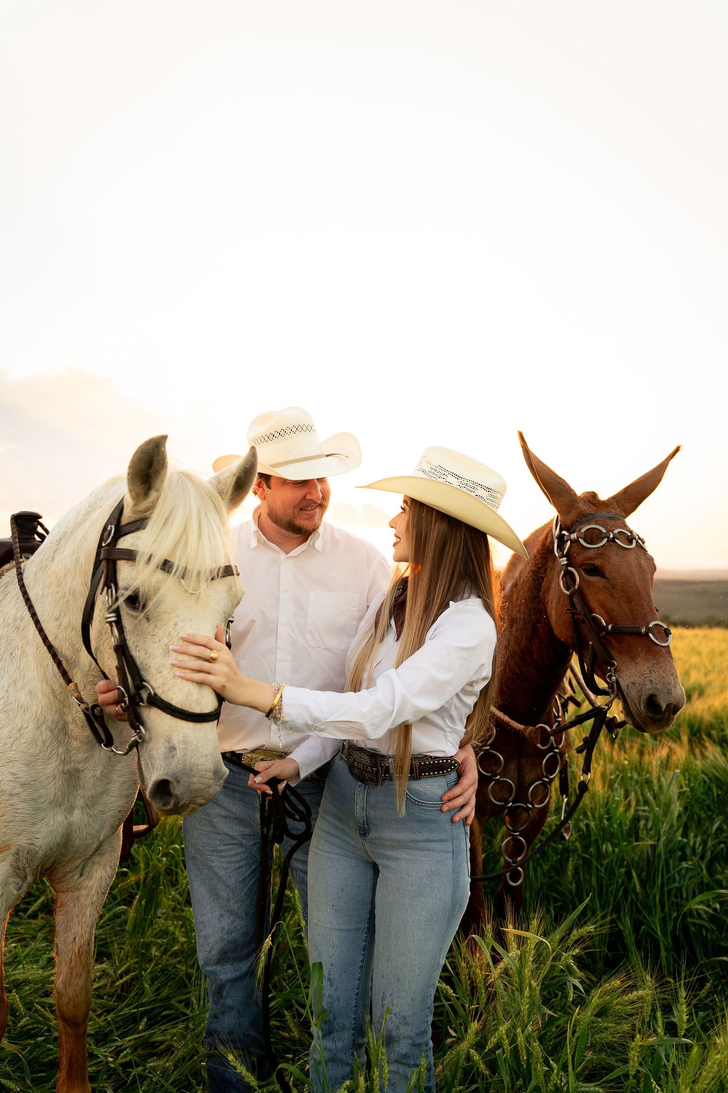 A couple in cowboy hats and white shirts stand with two horses in a sunlit green field.