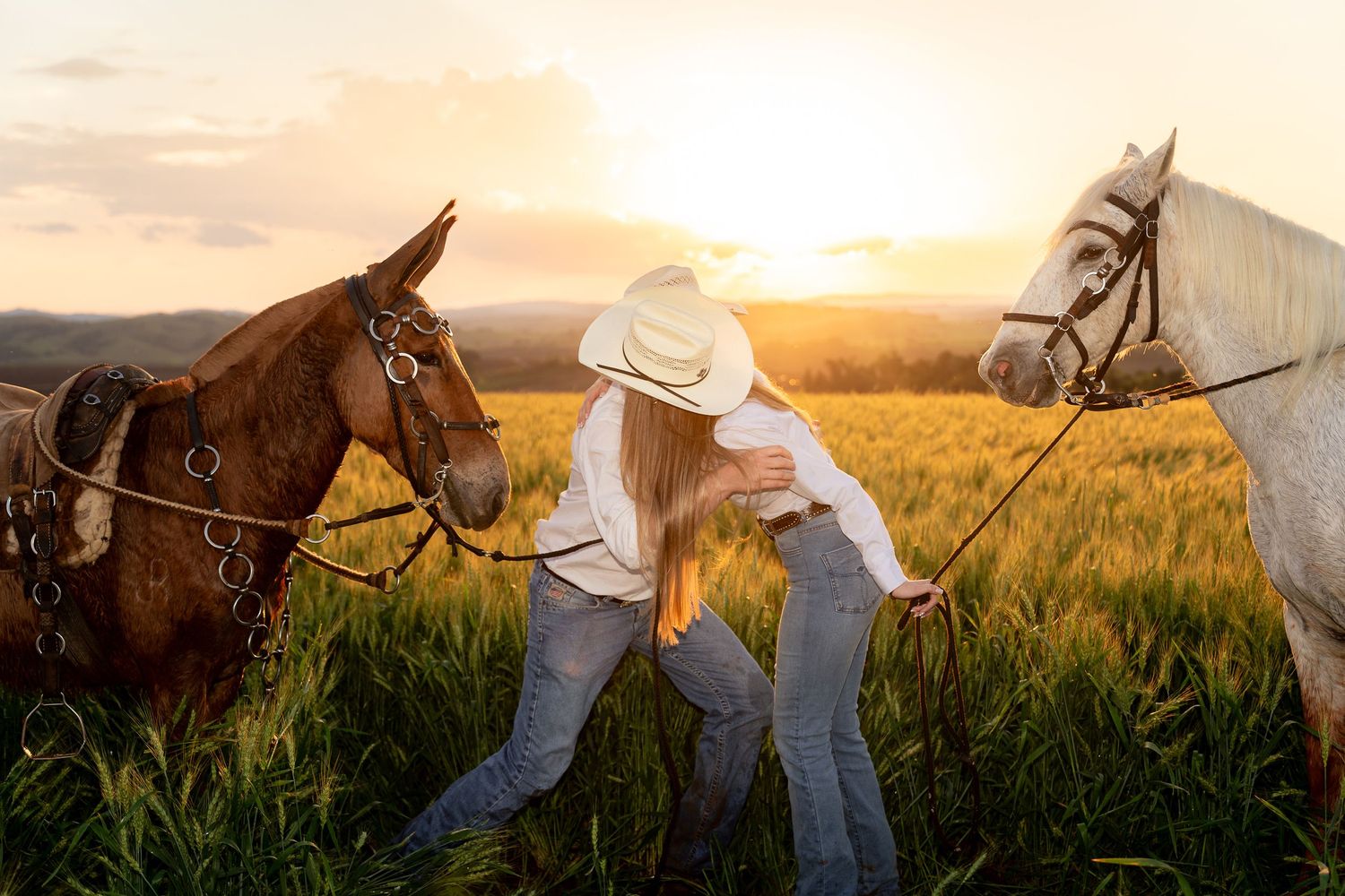 Woman in cowboy hat interacting with two horses in a golden sunset field.