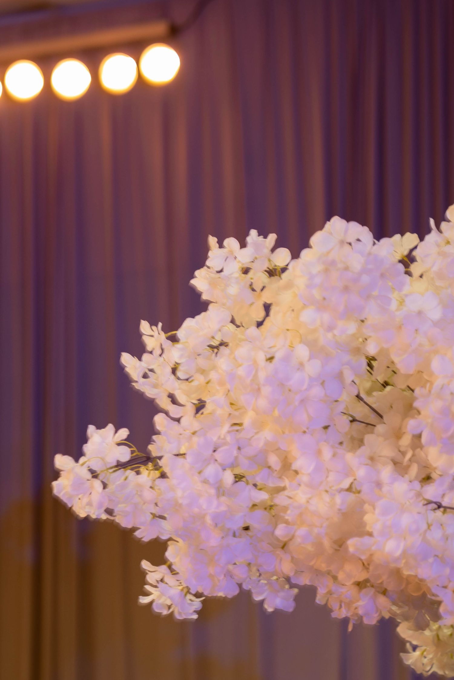 Elegant white cherry blossom floral arrangement glowing under warm stage lights against a purple draped backdrop.