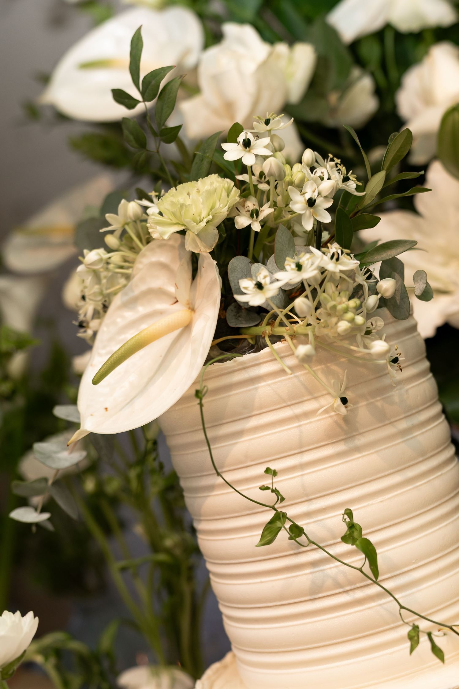 White anthurium and delicate blooms arranged in a ribbed cream ceramic vase with trailing greenery.