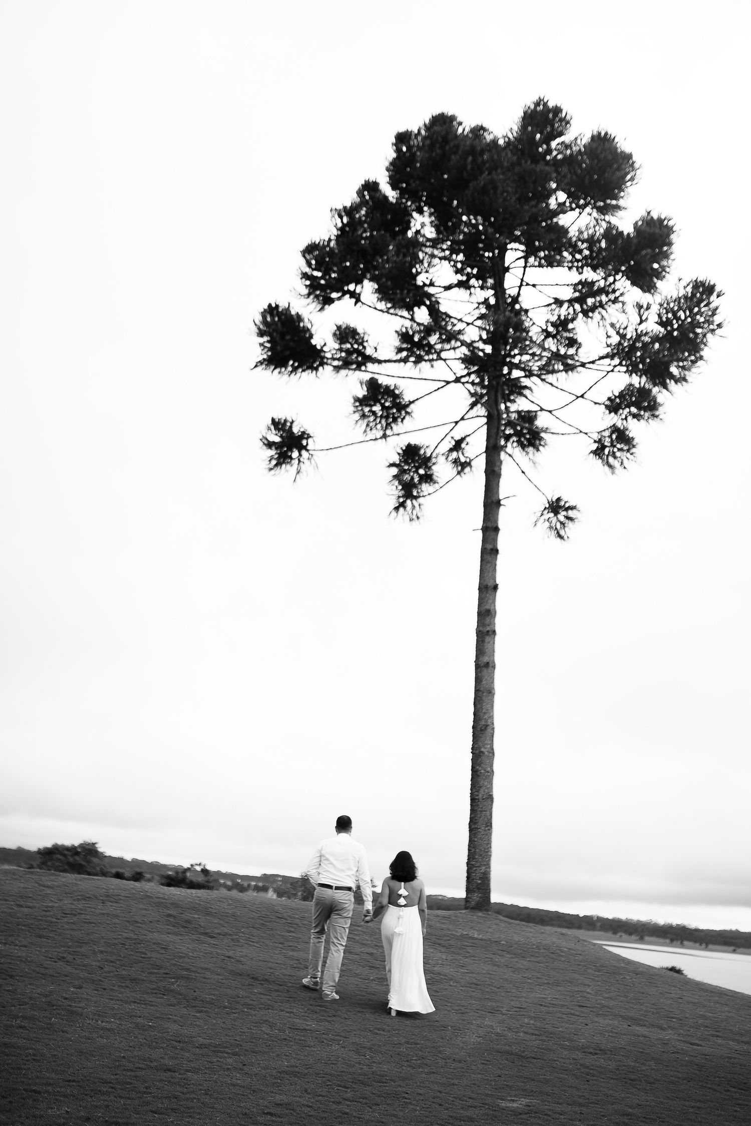 Black and white photo of a couple holding hands walking toward a tall pine tree on a grassy hill.