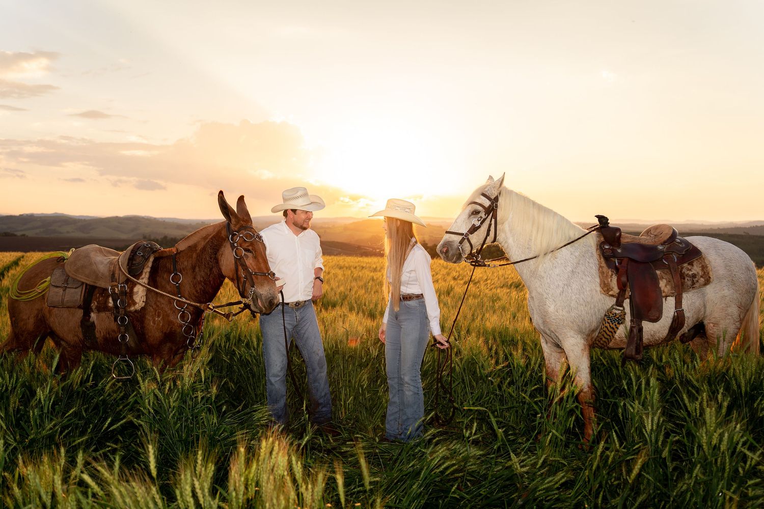Couple in cowboy hats holding horses at golden sunset in a green field.