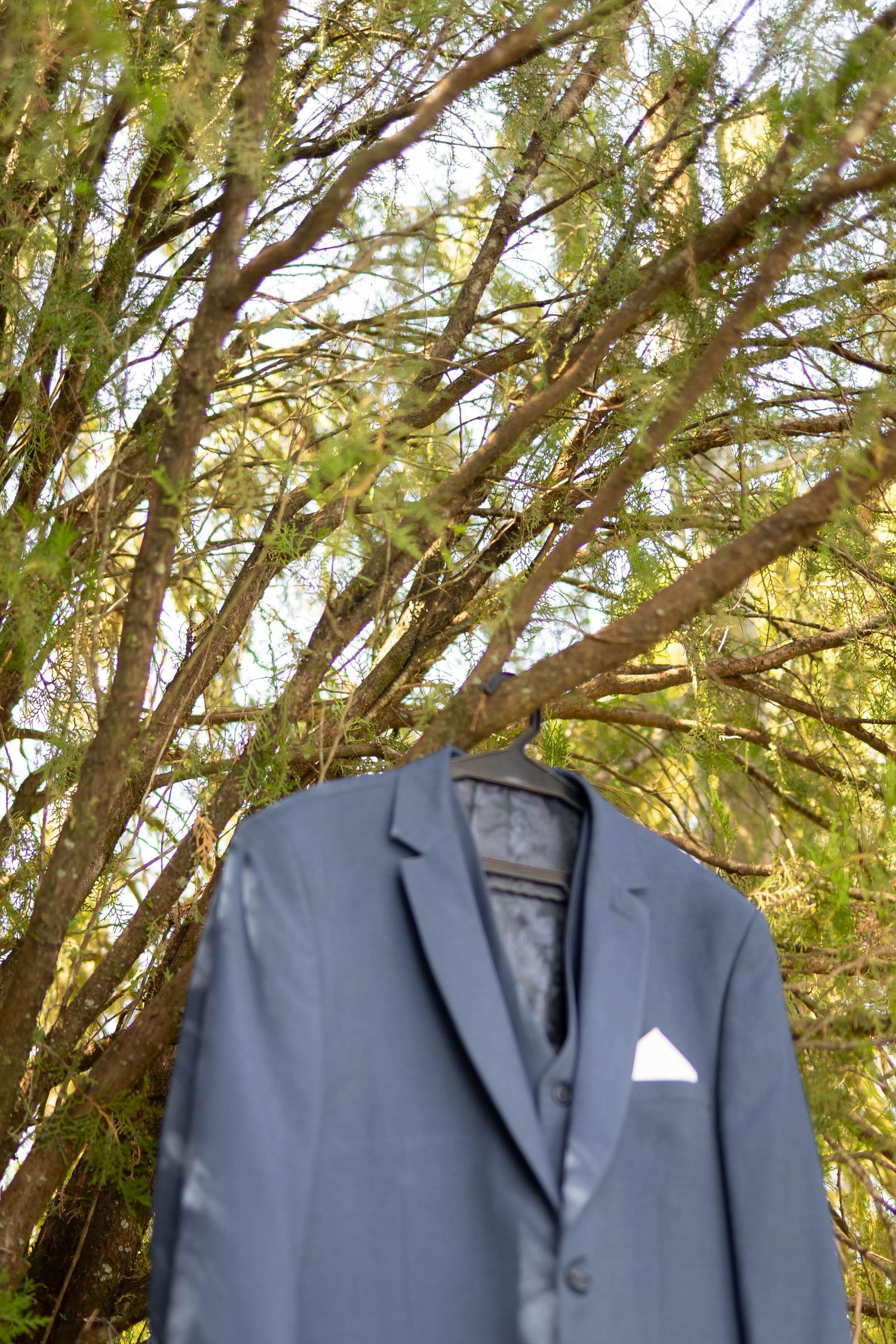 A gray suit jacket with white pocket square hanging on a hanger from a tree branch outdoors.