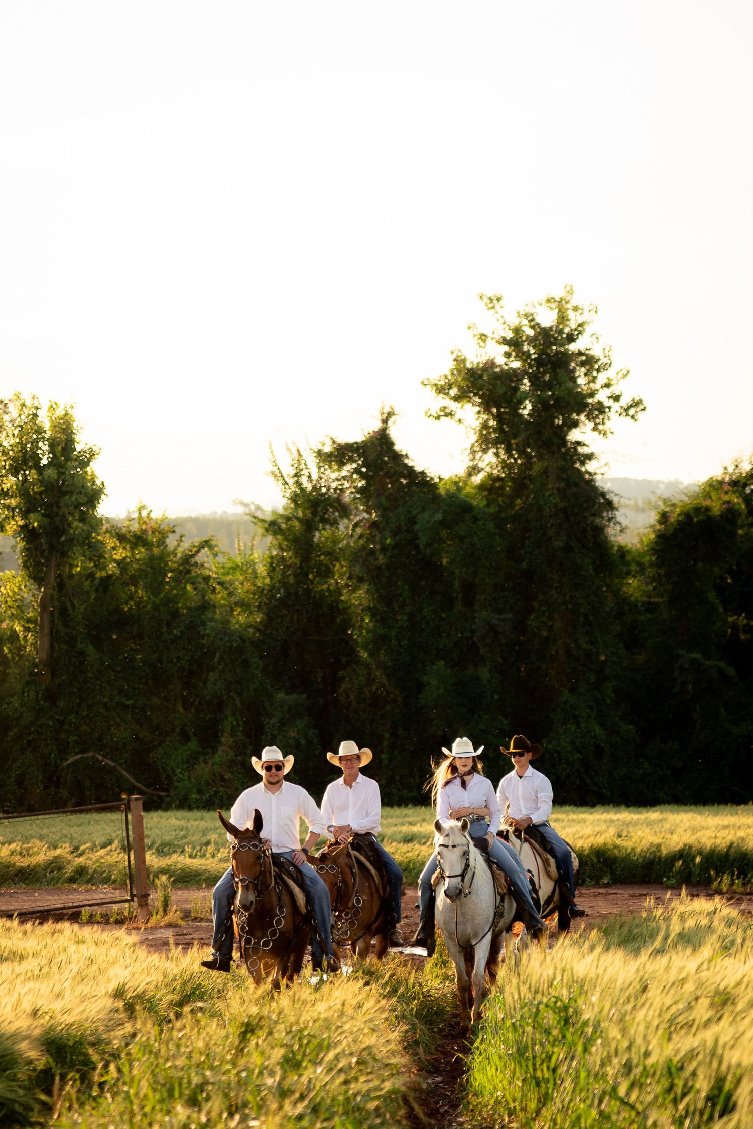 Four cowboys in white shirts and hats ride horses through a sunlit green field at golden hour.