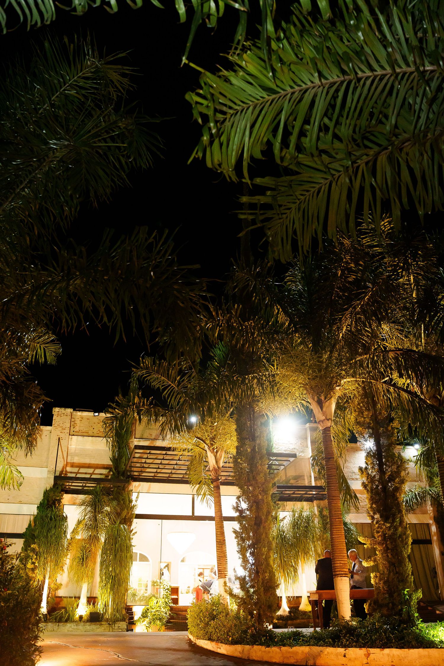 Tropical palm trees illuminated at night outside a modern building with warm golden lights.