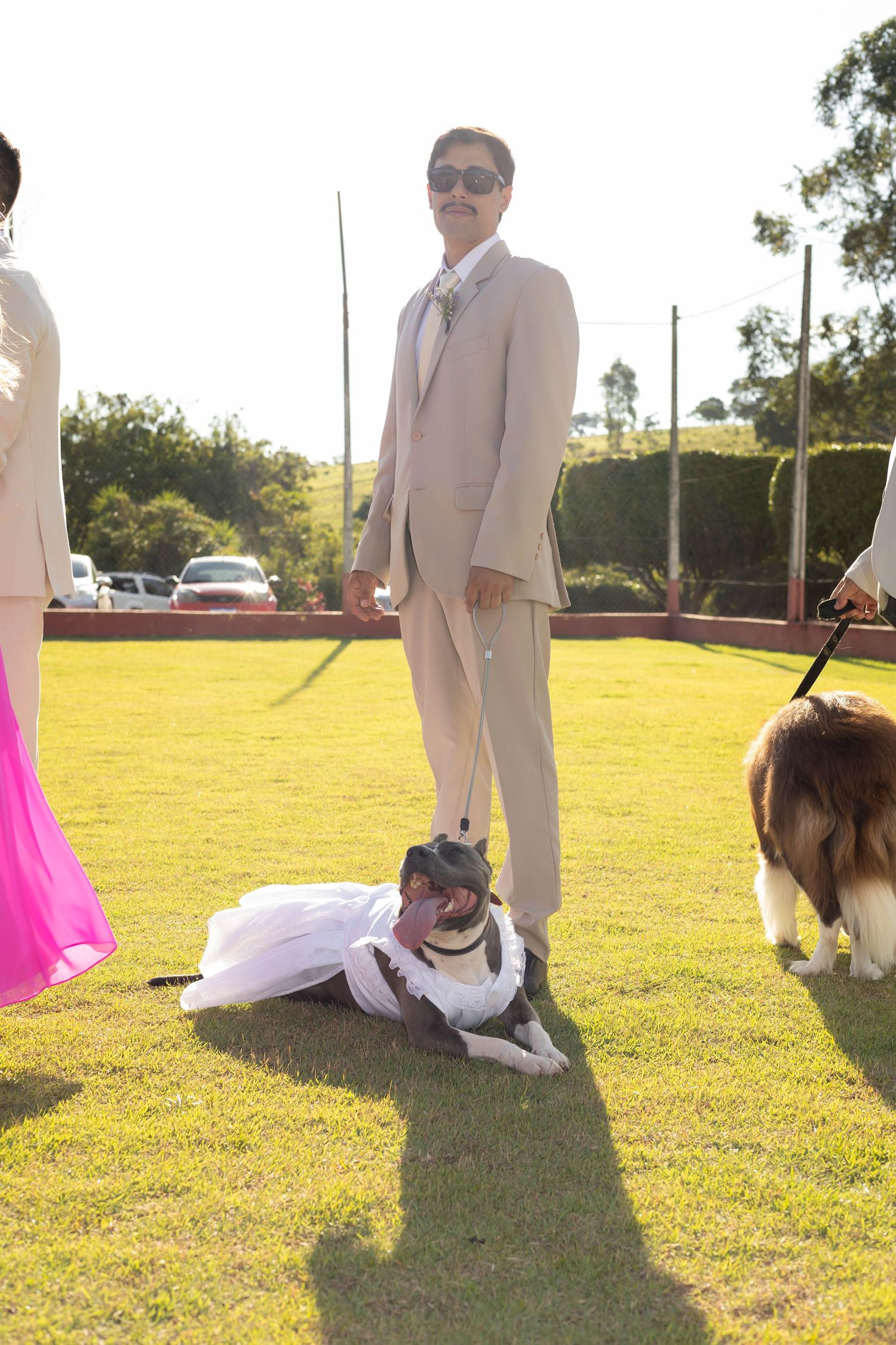 Man in beige suit stands on grass with a dog dressed in a white wedding outfit on a leash at an outdoor event.