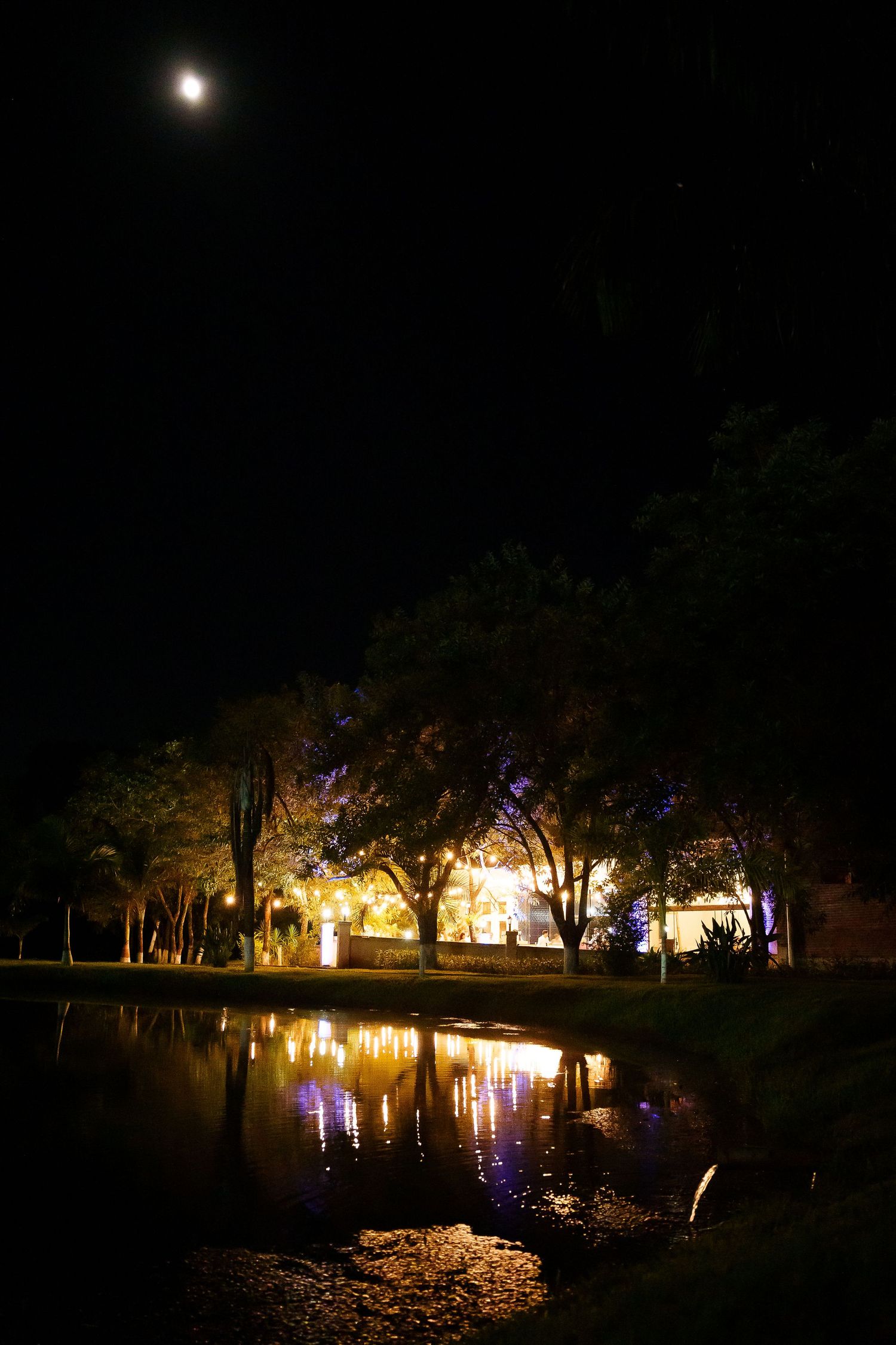 Moonlit night scene with illuminated trees reflecting on a tranquil pond under a dark starry sky.