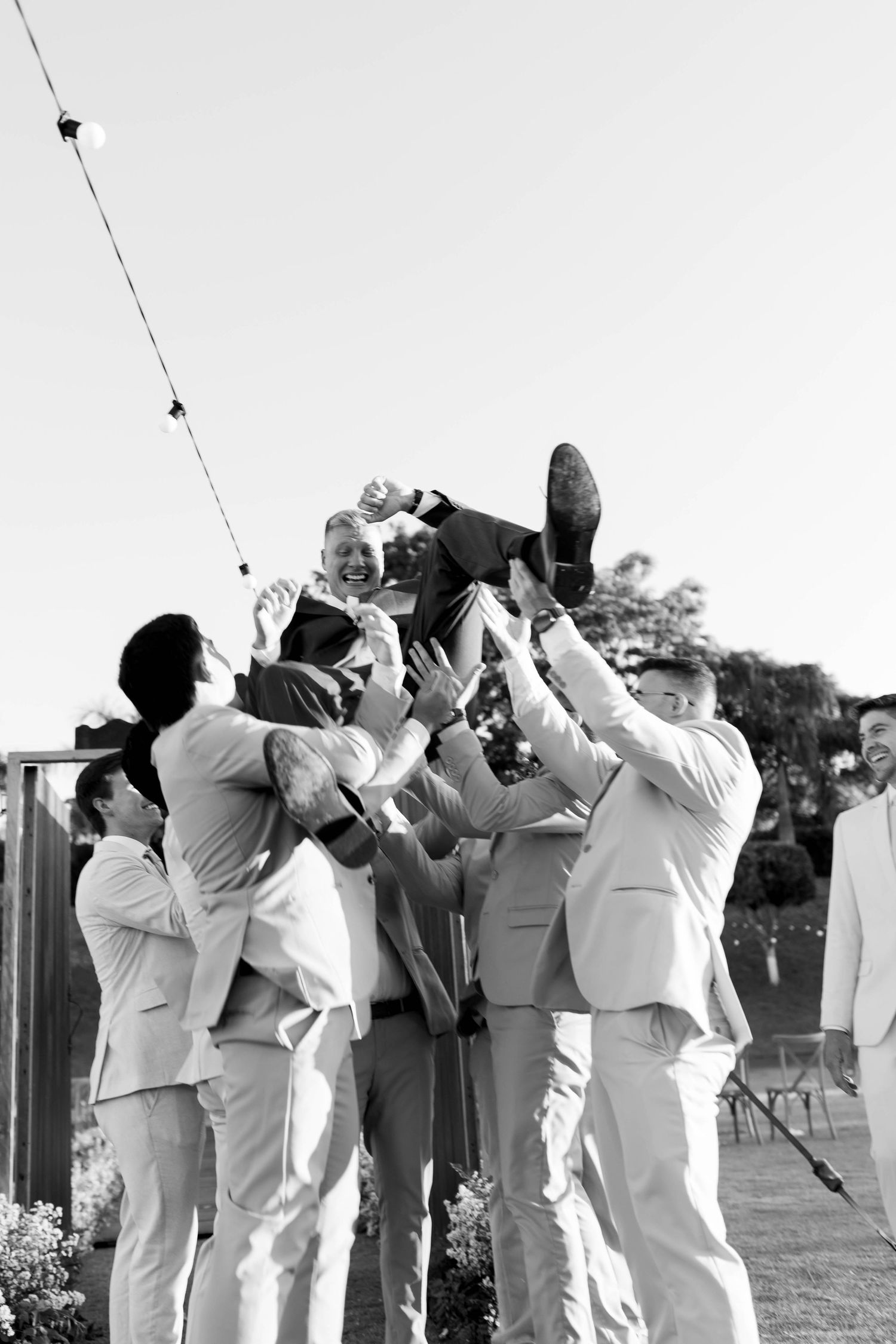 Groomsmen in light suits joyfully tossing the groom into the air outdoors at a wedding celebration.