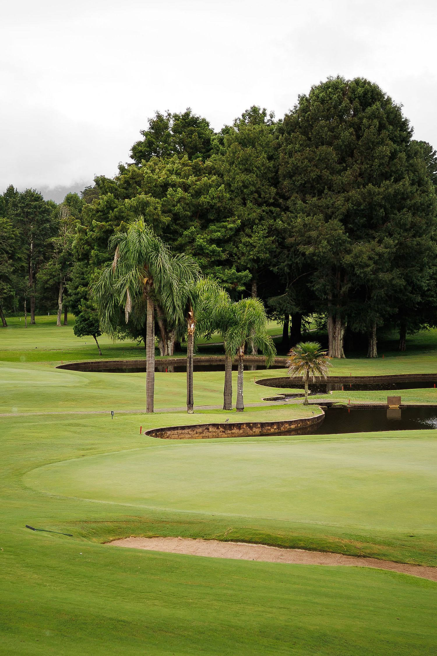 Lush golf course with sand bunkers, palm trees, water hazards, and manicured greens surrounded by dense trees.