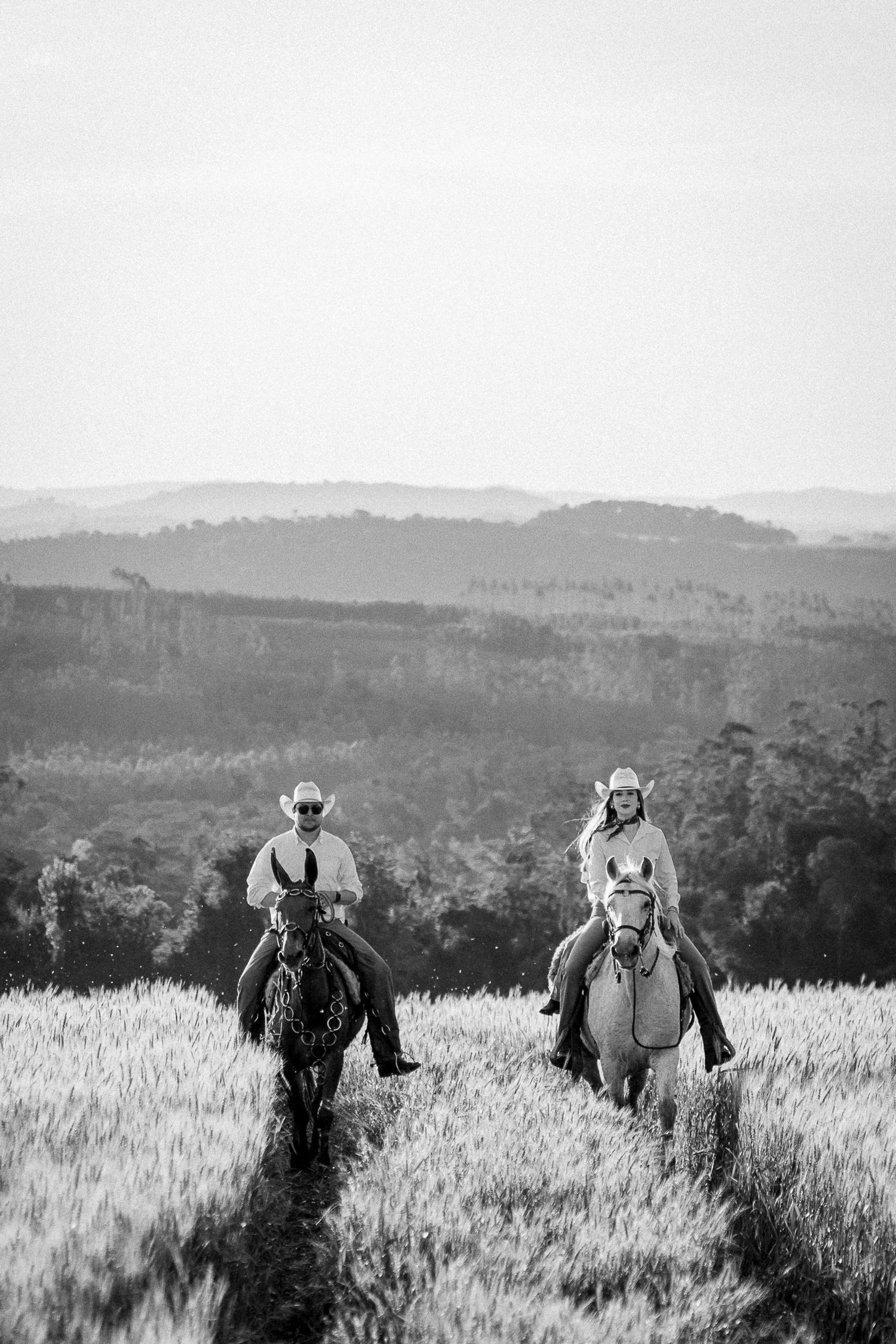 Two cowboys and a cowgirl ride horses through a golden field with rolling hills in the background, black and white photo.