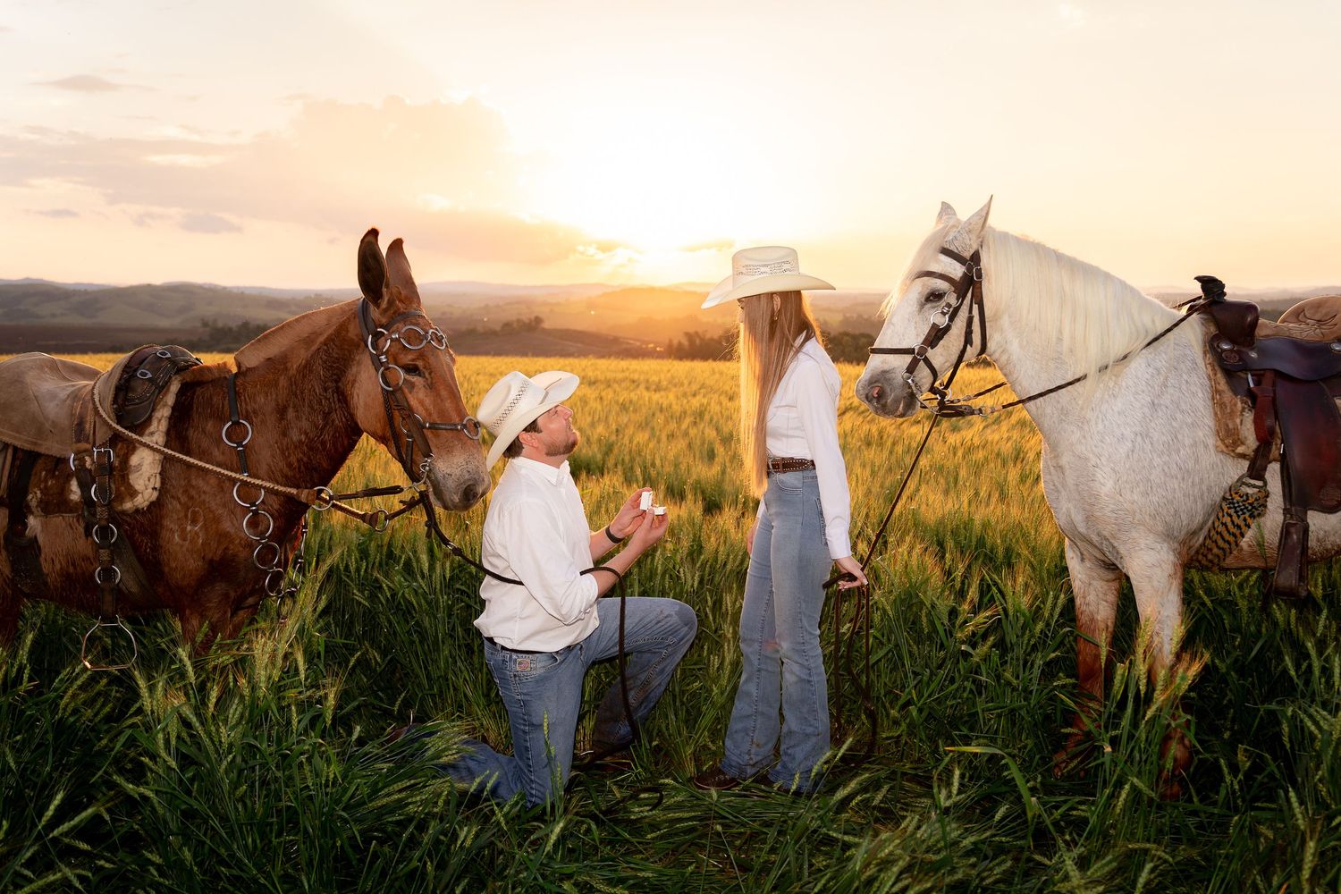 Man proposing to woman in white hats beside horses in a golden sunset field.