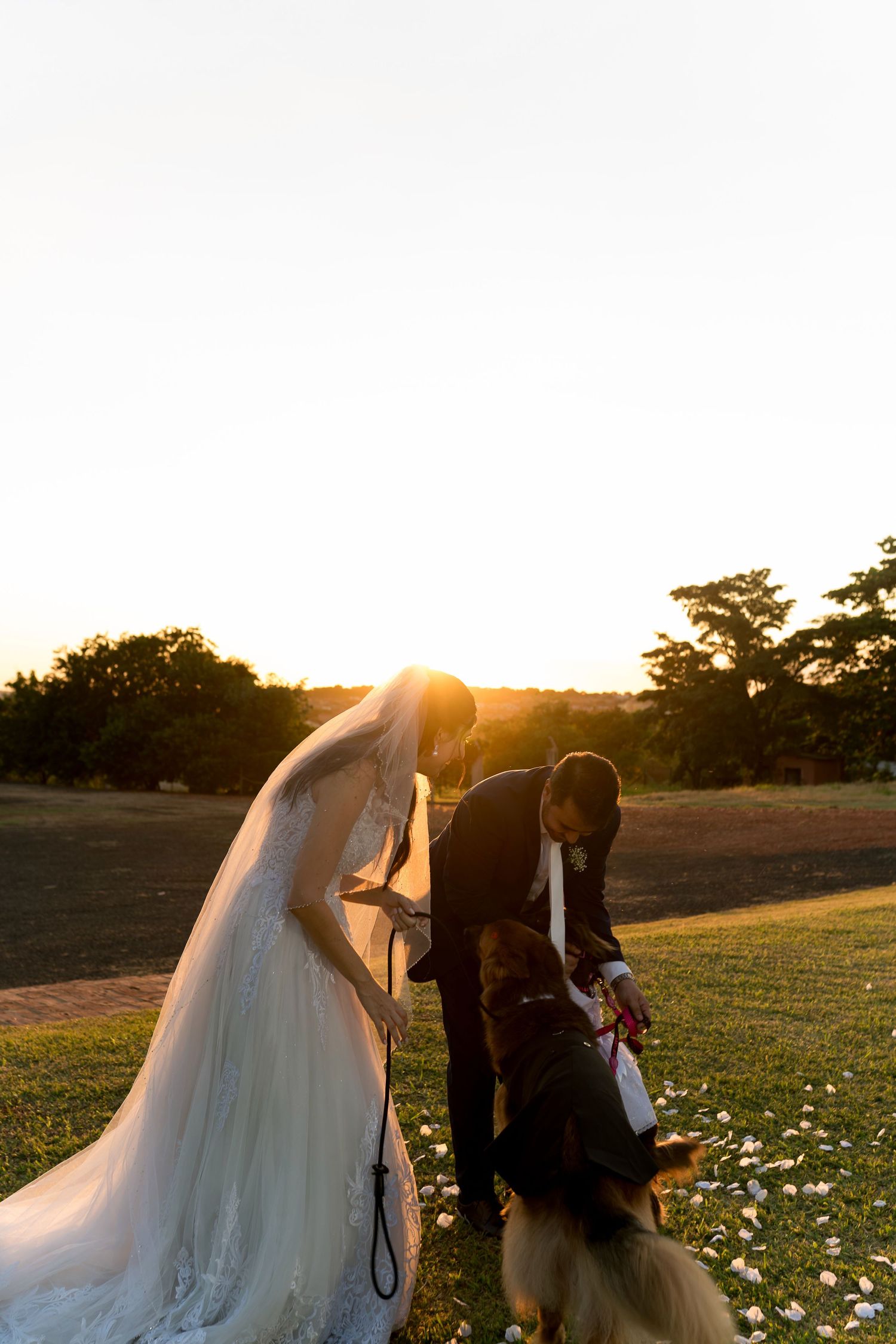 Bride and groom in wedding attire petting their dog at golden hour sunset on lush green lawn.