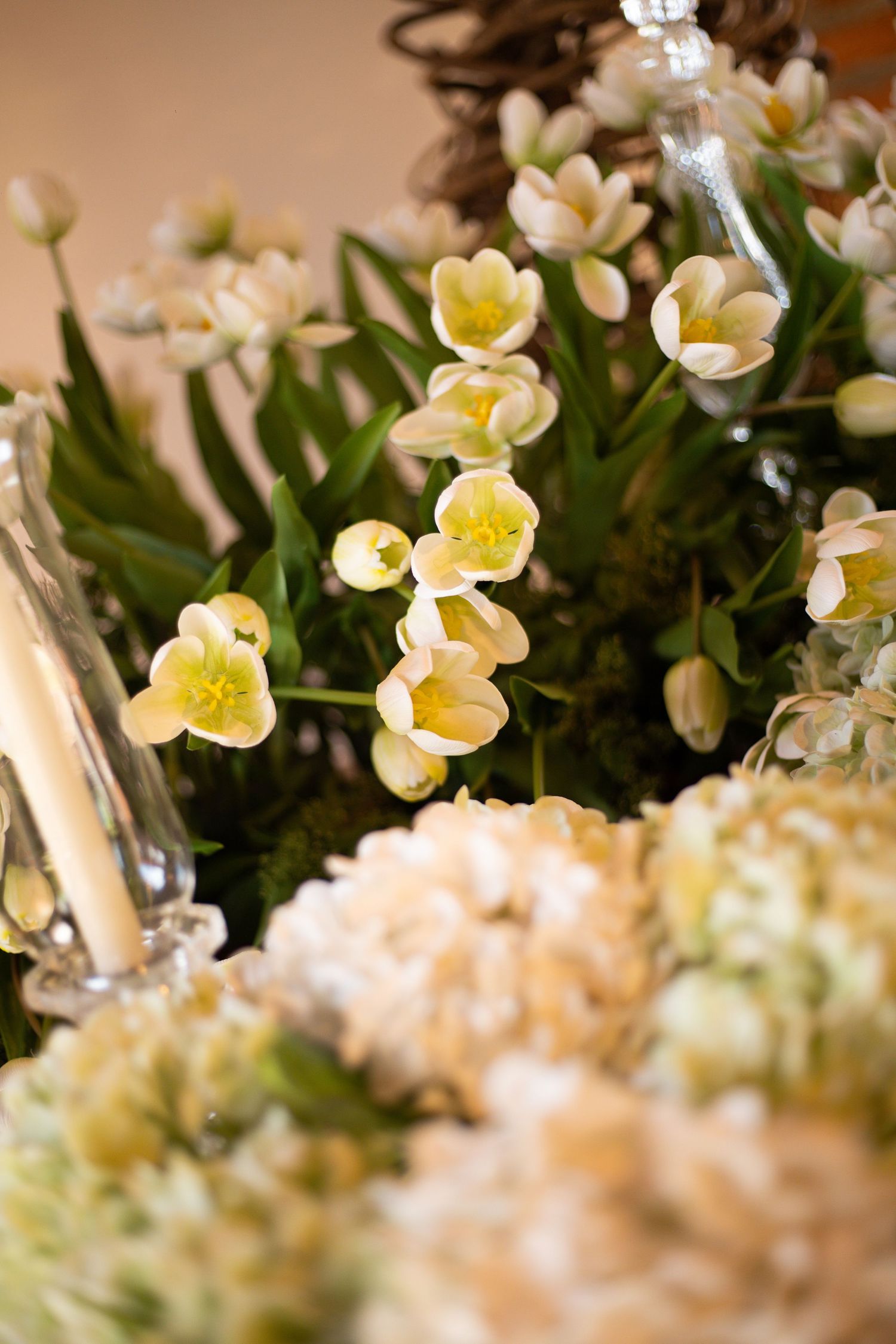 Elegant white and yellow tulips with hydrangeas in a floral arrangement, perfect for weddings or spring decor.