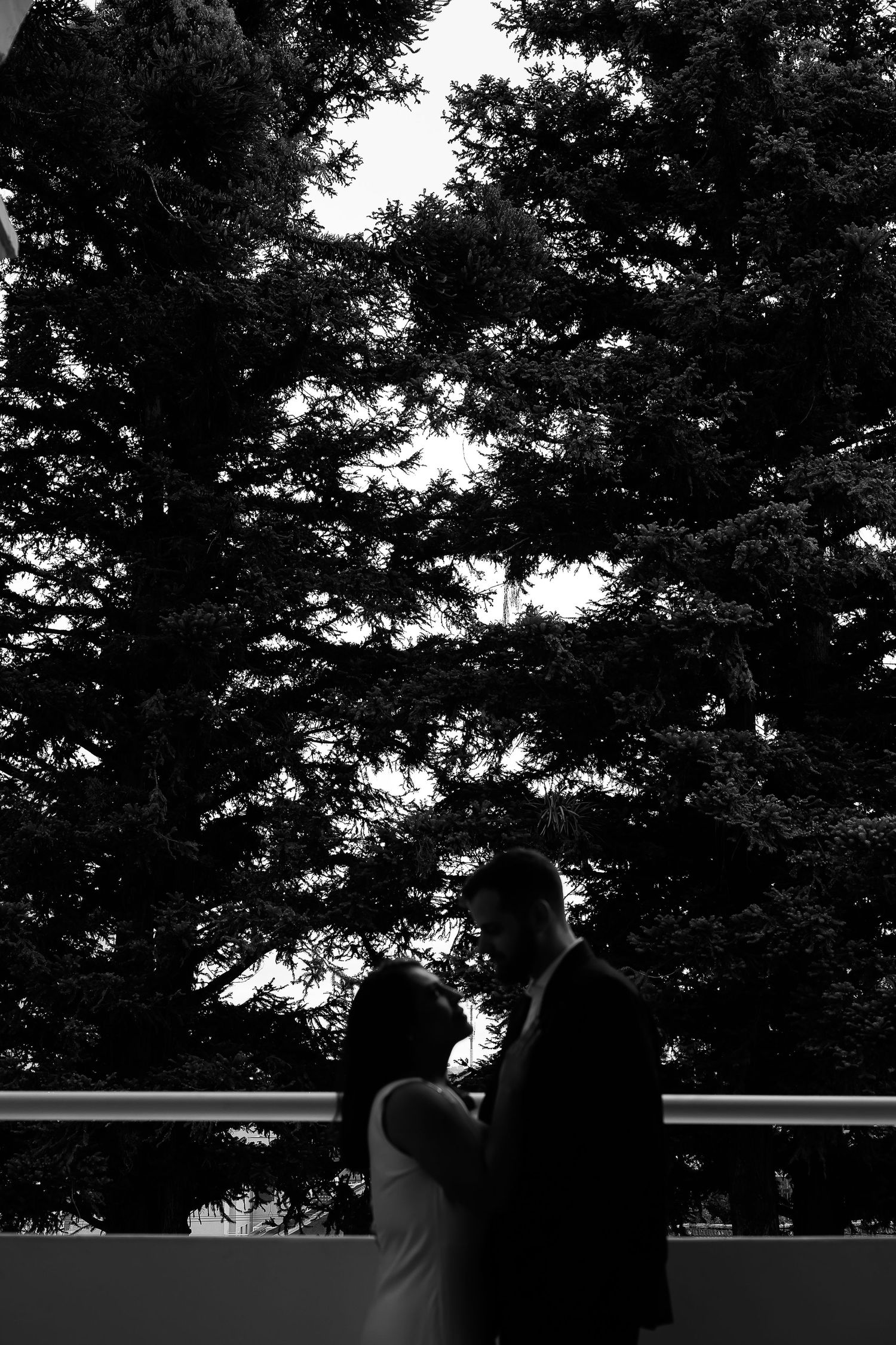 Black and white silhouette of a wedding couple embracing on a balcony with lush trees in the background.
