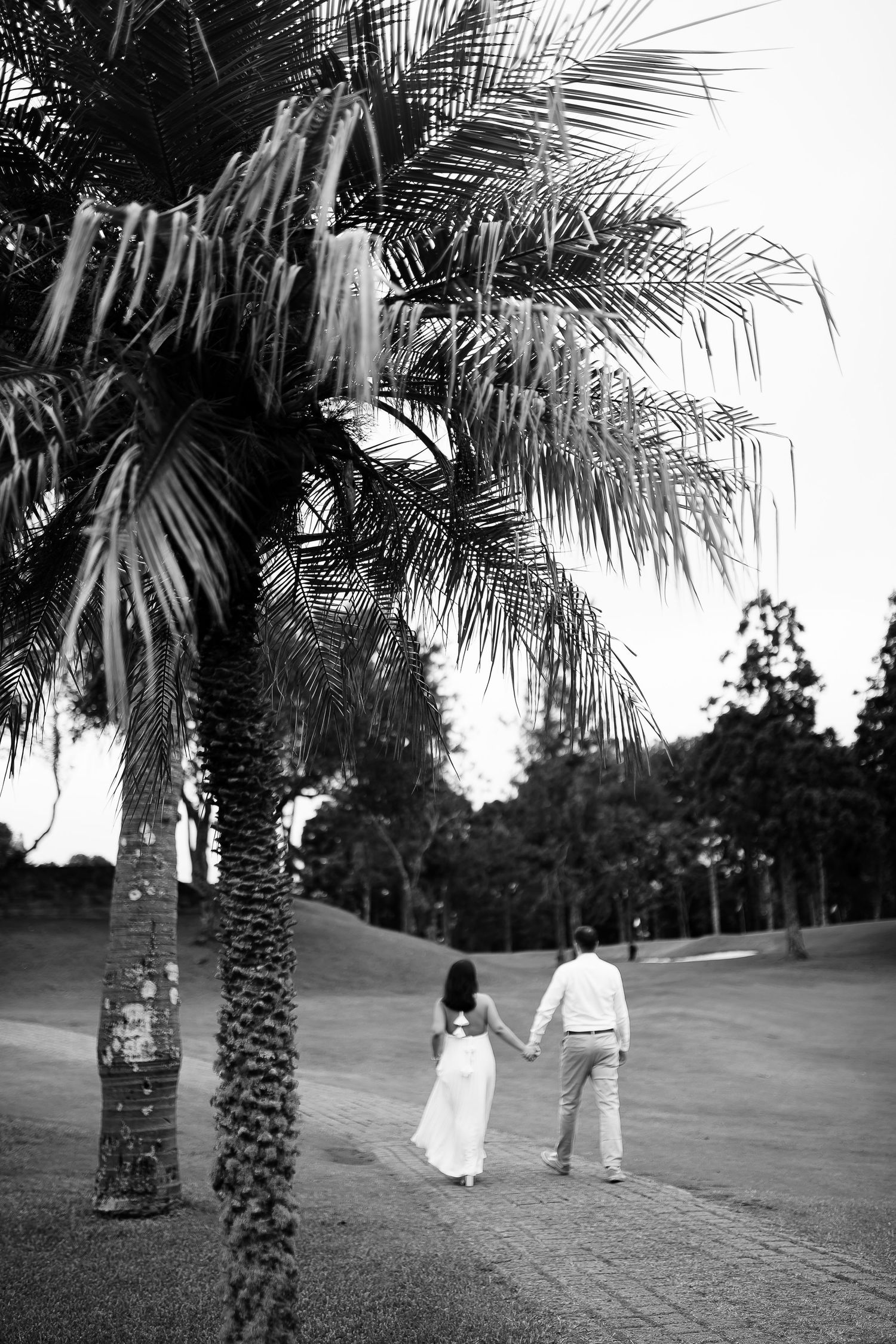 Black and white photo of a couple holding hands walking past a palm tree on a scenic path.
