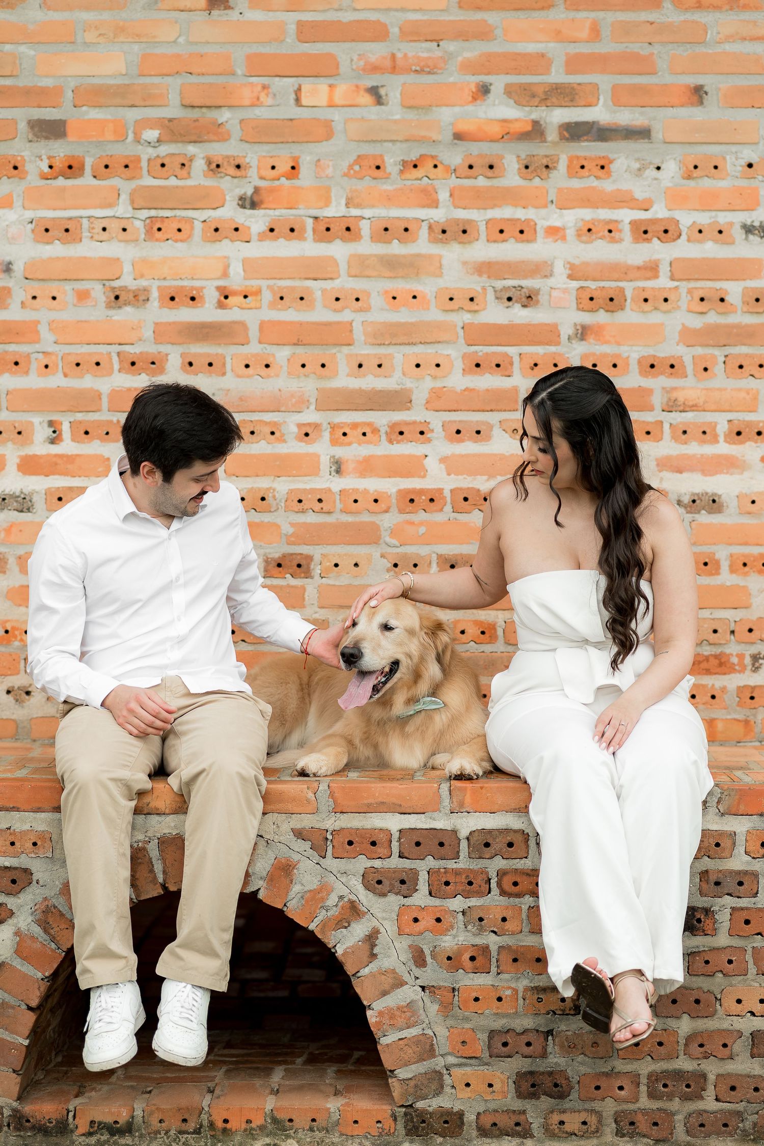 Couple sitting on brick ledge with golden retriever dog between them, man in white shirt and woman in white dress.