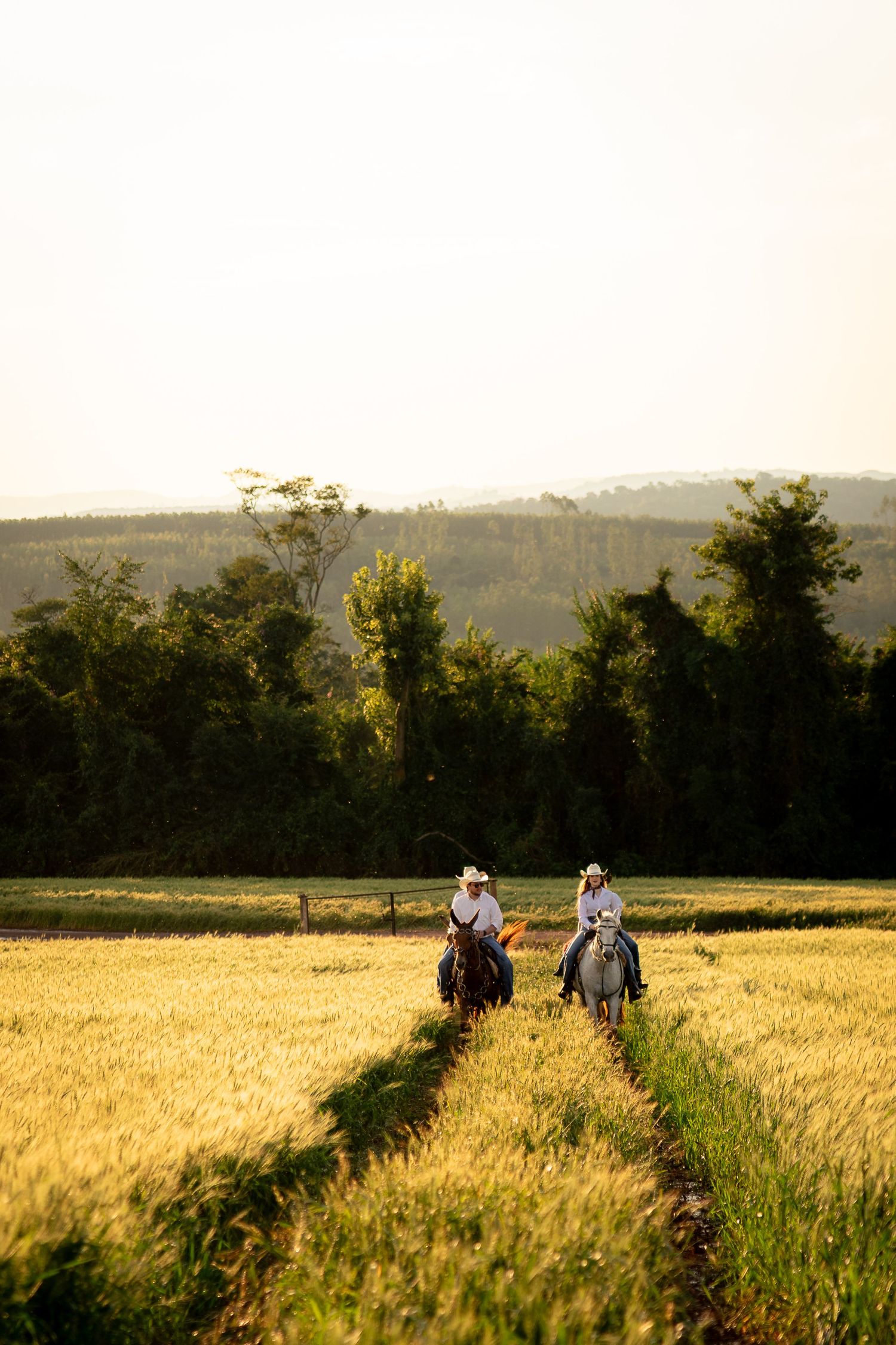 Two cowboys on horseback ride through golden wheat fields with lush green trees and rolling hills in the background.