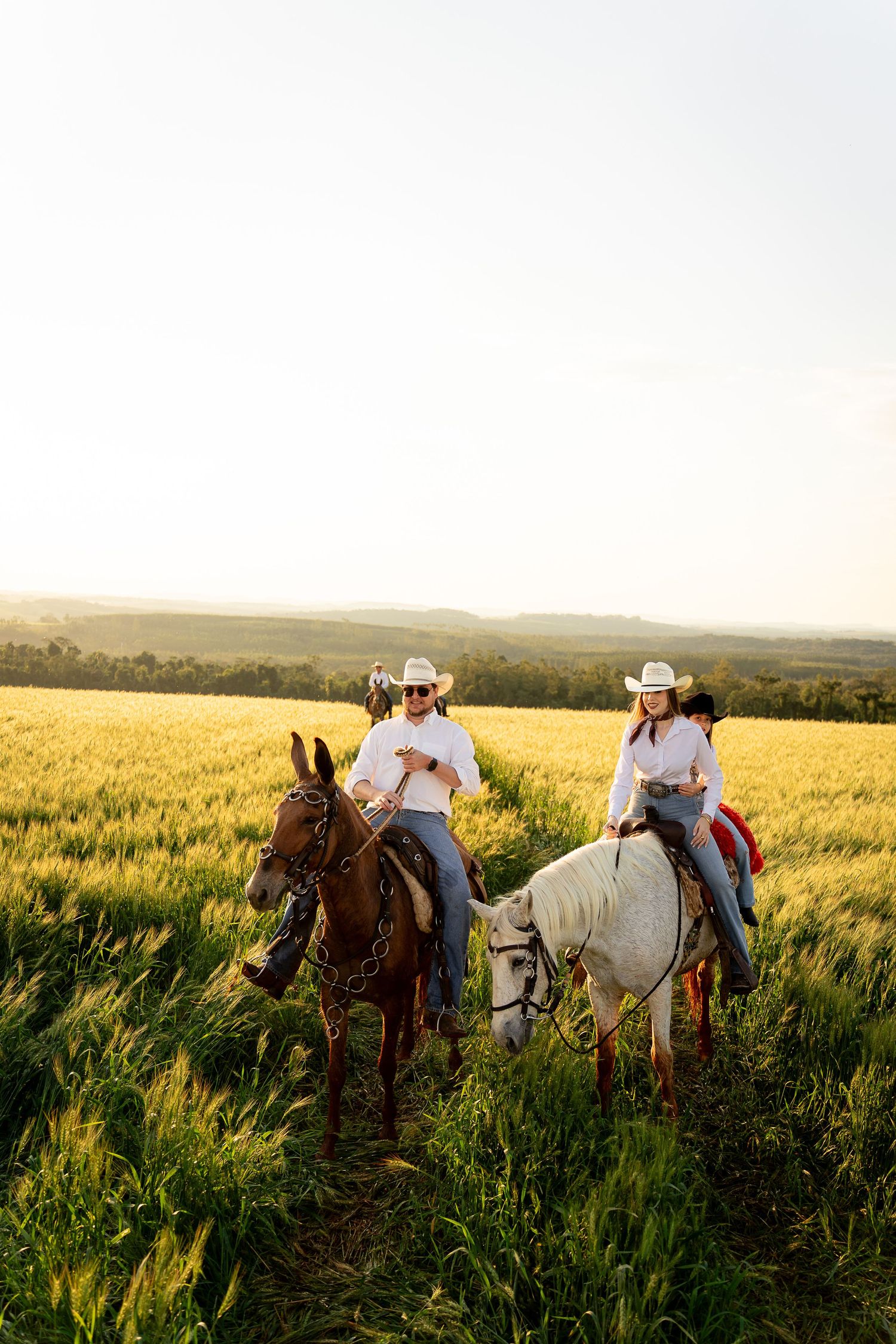 Two cowboys in white hats ride brown and white horses through a golden wheat field at sunset.