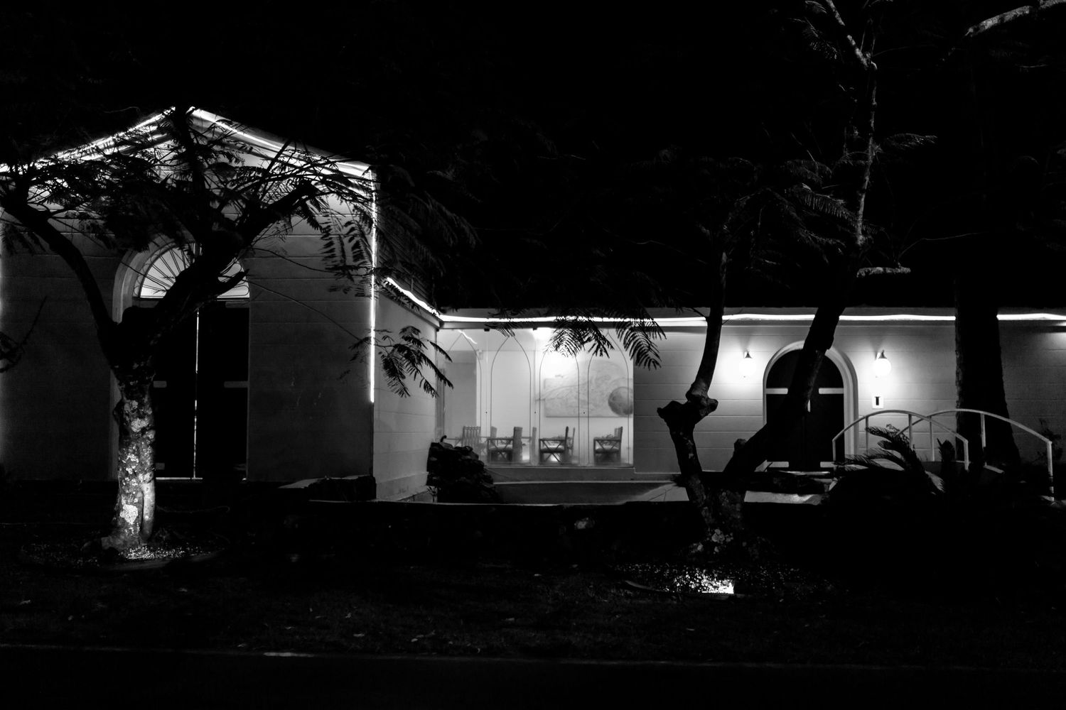 Black and white nighttime exterior shot of an illuminated building with trees.