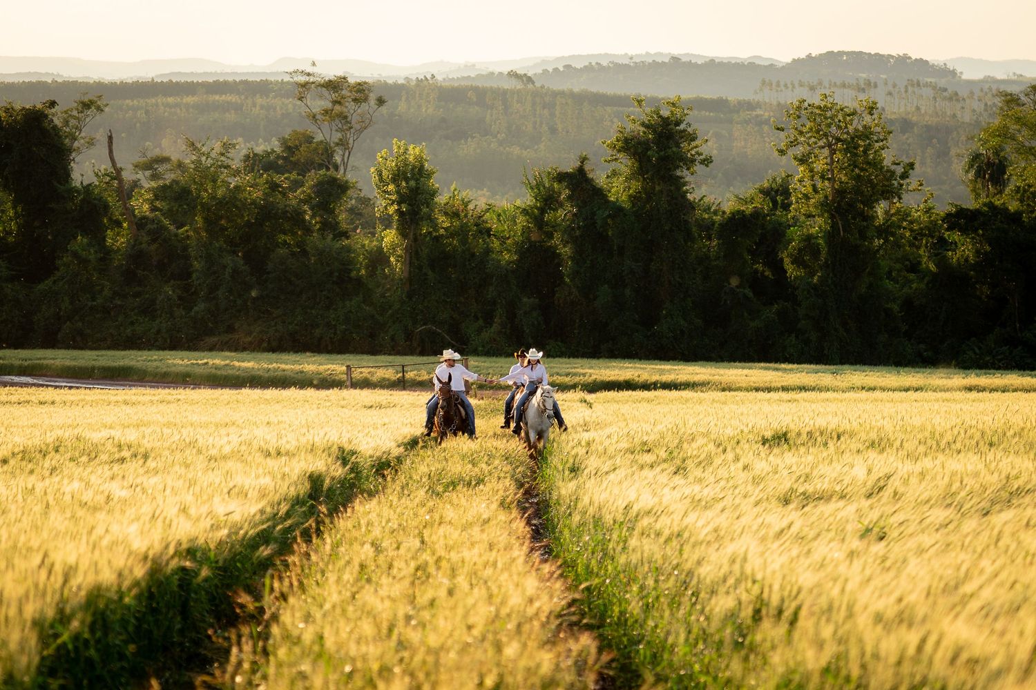 Two riders on horseback traverse a golden wheat field with lush green trees and rolling hills in the background.