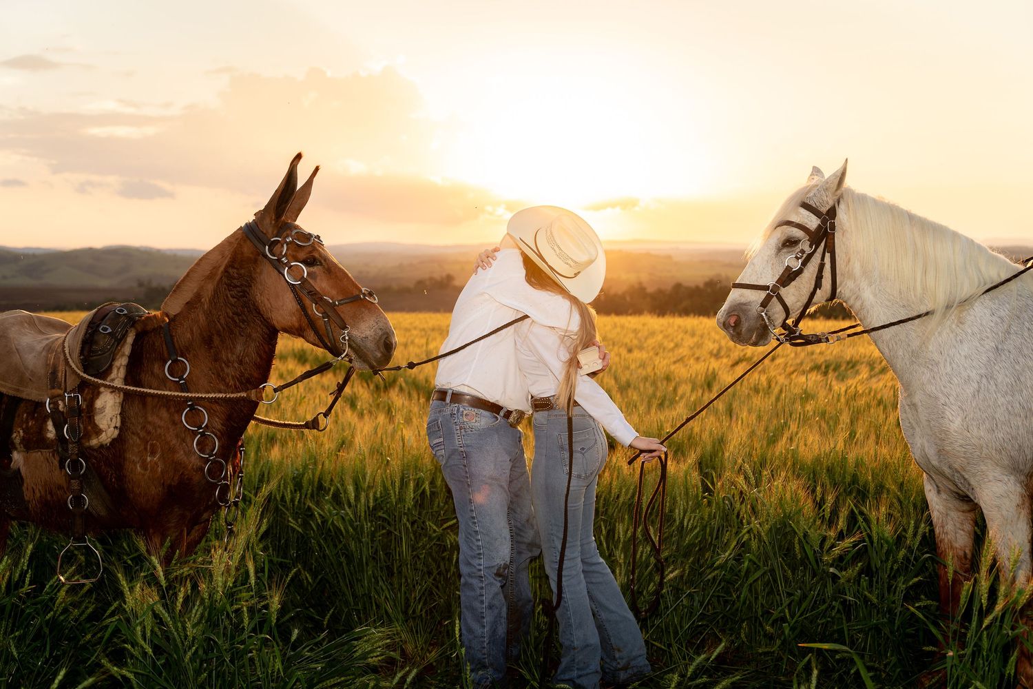 Person in cowboy hat leading brown and white horses through golden field at sunset.