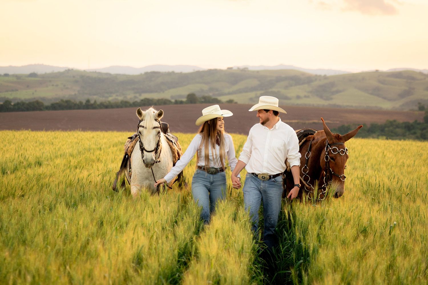 Couple in cowboy hats holding hands walking through green field with white and brown horses at sunset.