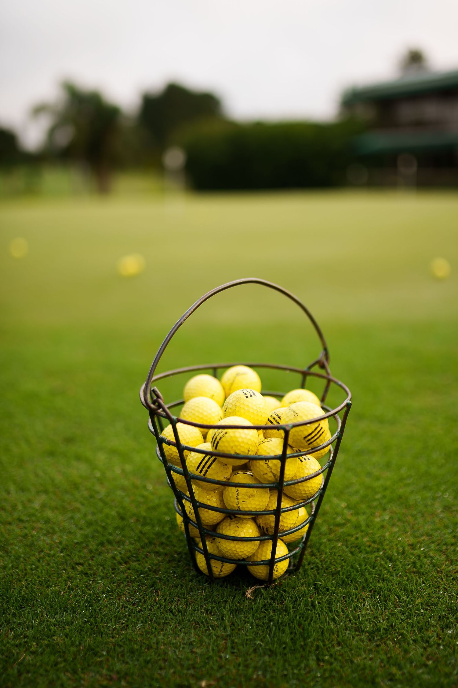 A wire basket filled with yellow golf balls sitting on a lush green driving range grass.