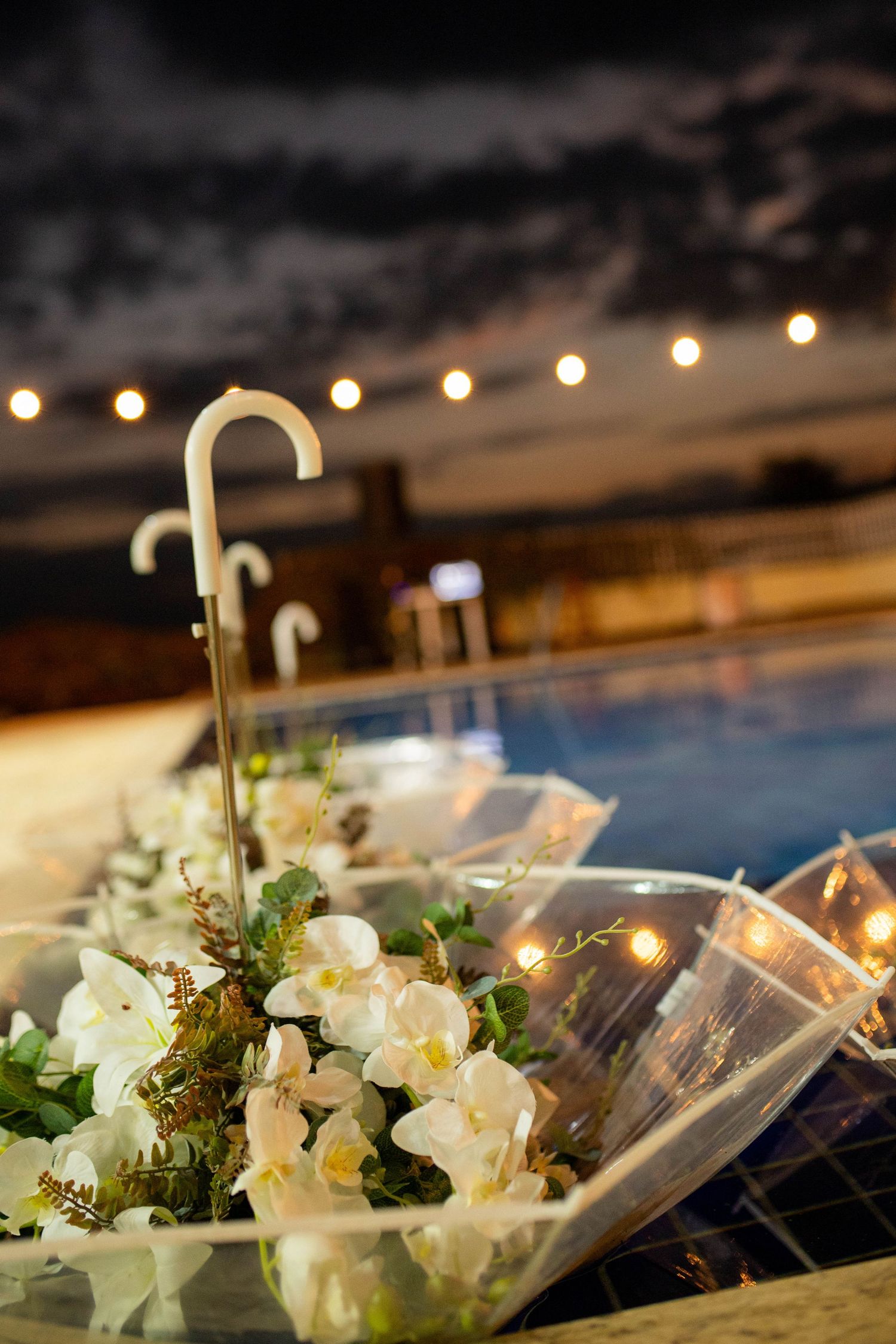 Clear umbrella filled with white orchids and greenery displayed outdoors at dusk with string lights glowing in background.