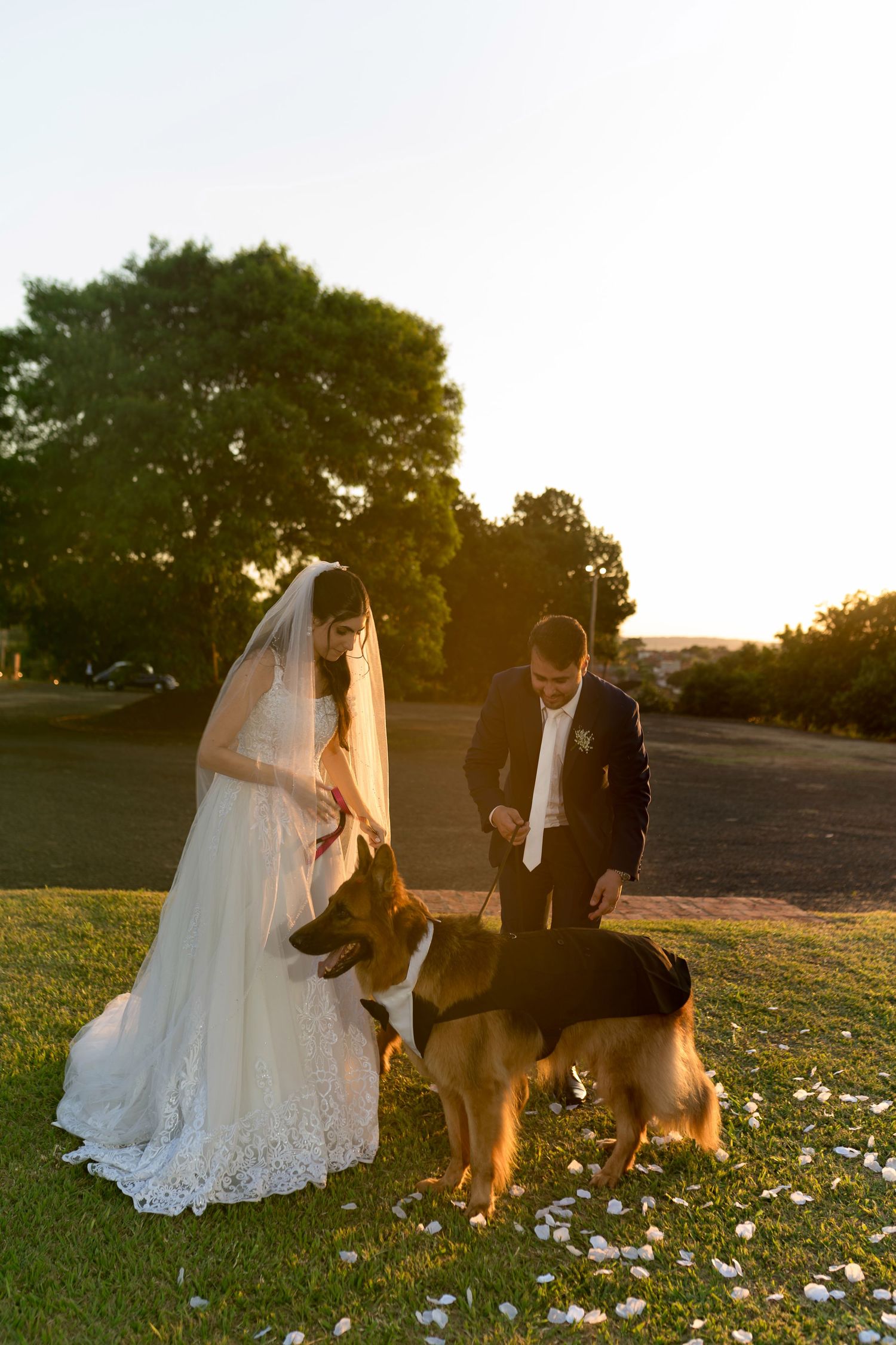 Bride and groom in wedding attire petting two German Shepherds on a sunlit green lawn at golden hour.
