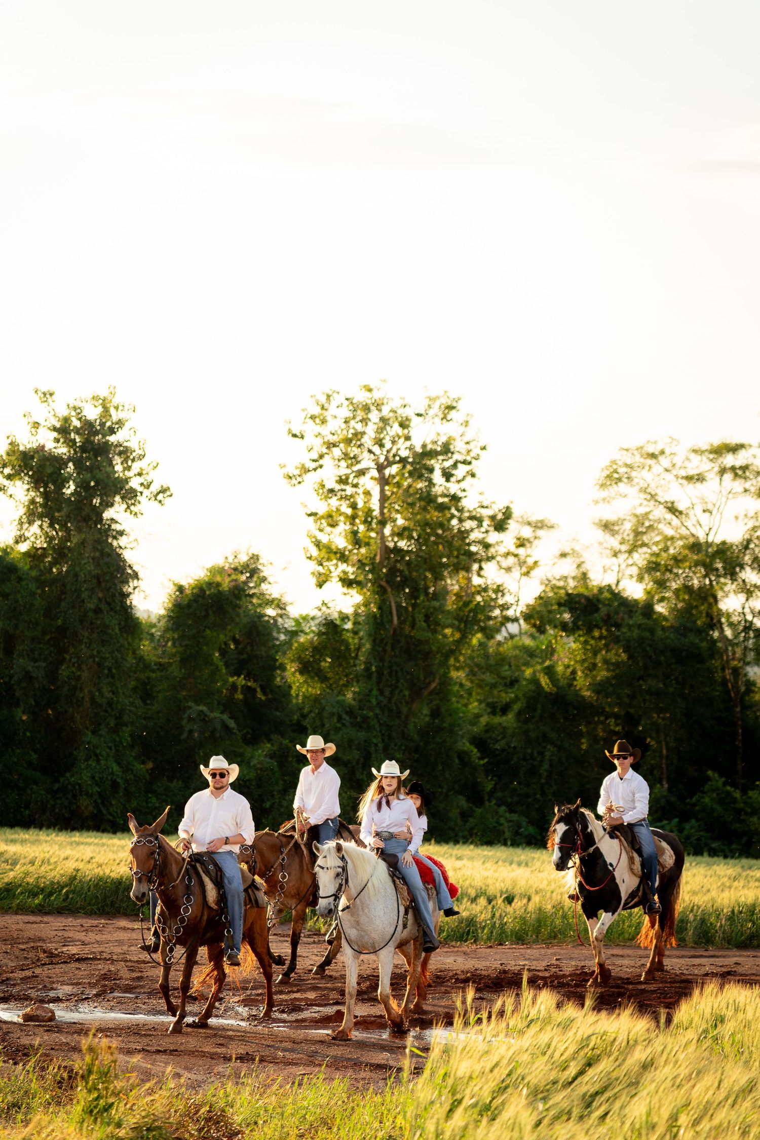 Four cowboys and cowgirls ride horses through a sunny rural field with lush green trees in the background.