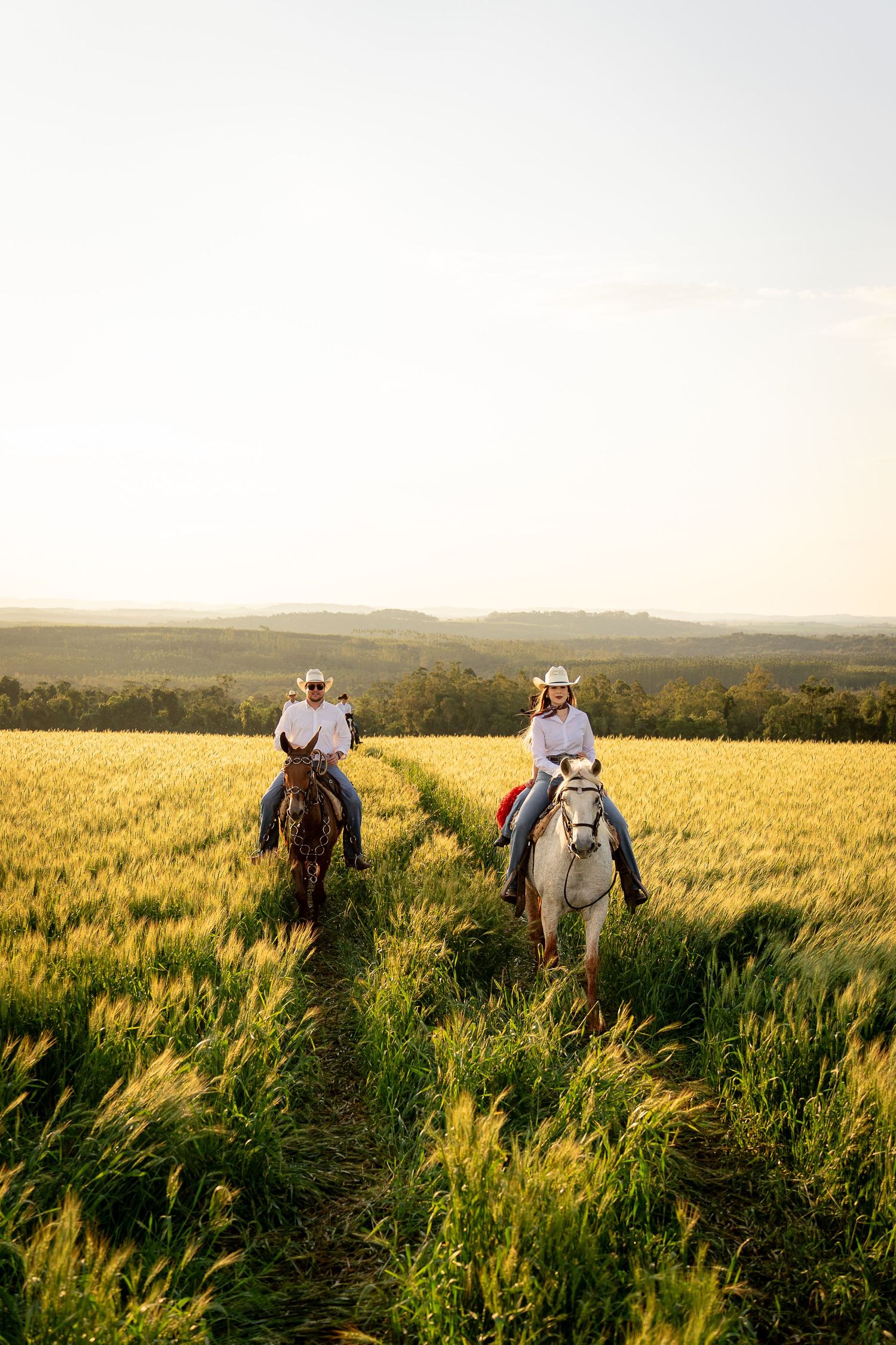 Two horseback riders in white hats ride through a golden wheat field at sunset with rolling hills in the background.
