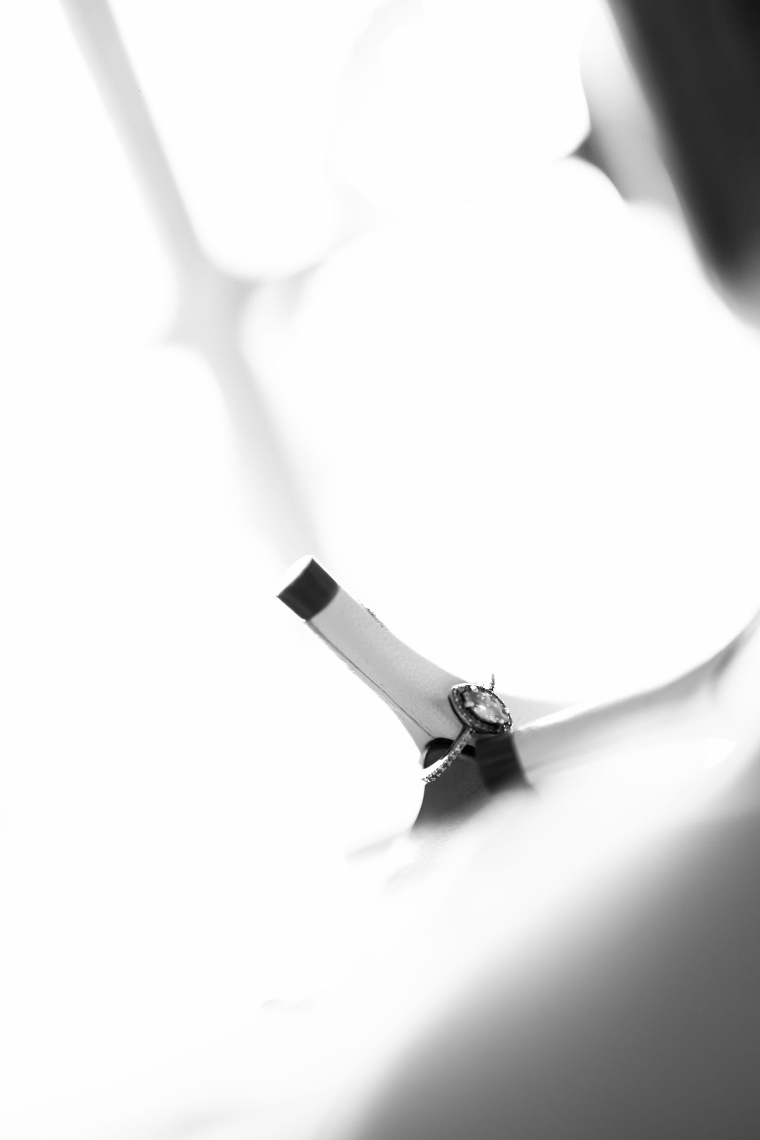 Black and white close-up of a champagne bottle neck with wire cage, surrounded by soft bokeh light.