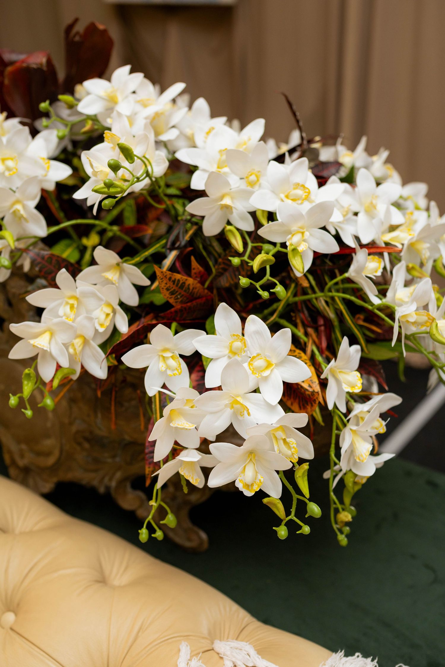 Elegant white orchid arrangement with yellow centers cascading over ornate gold vase on green velvet surface.