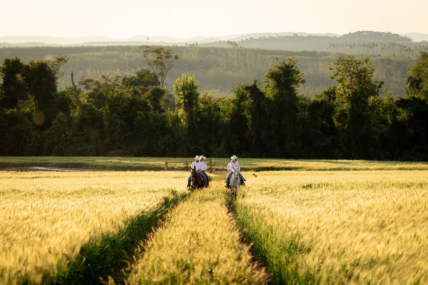 Two riders on horseback traverse a golden wheat field with lush green trees and rolling hills in the background.