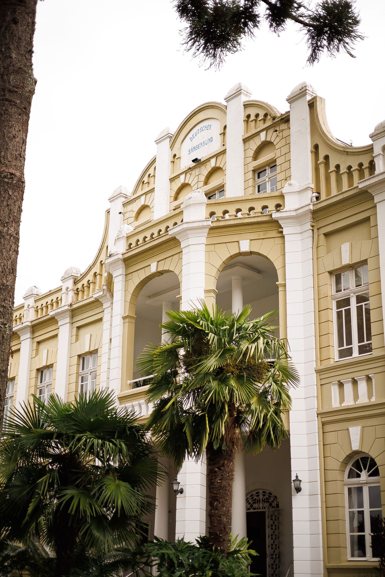 Elegant yellow neoclassical building with arched windows, ornate facade, and tropical palm trees in the foreground.