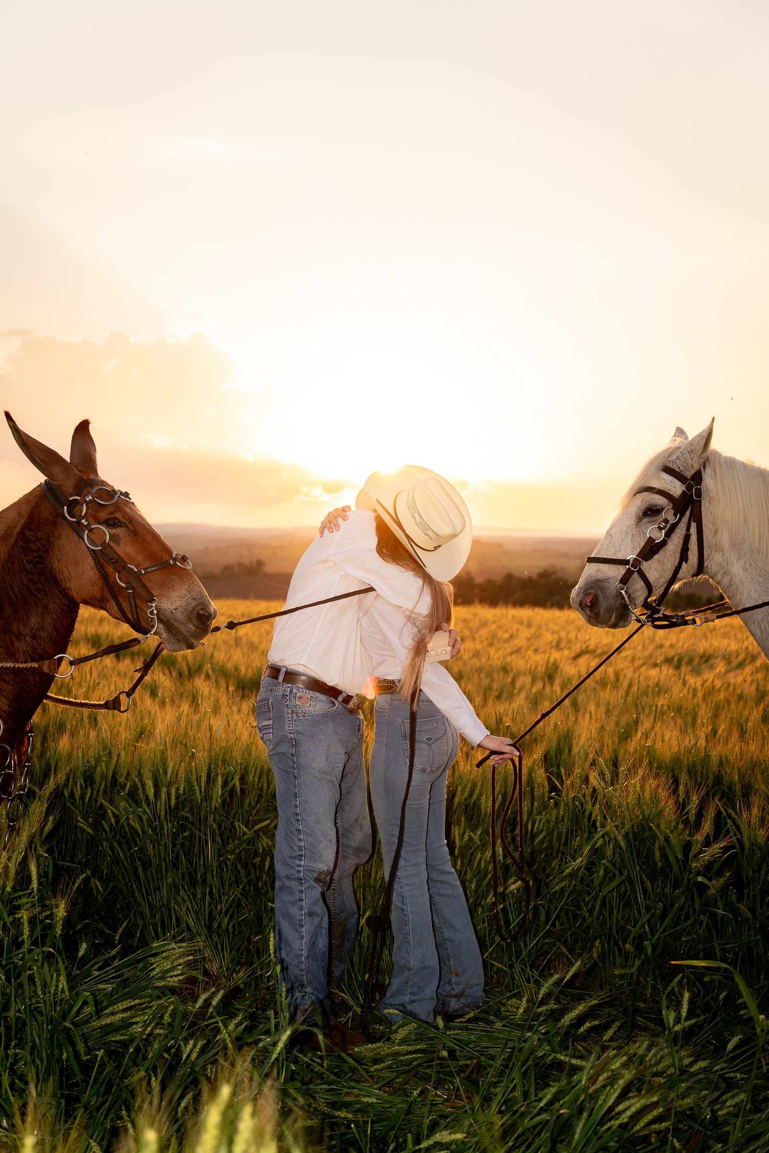Couple embracing at sunset in a golden field, holding reins of a brown and white horse.