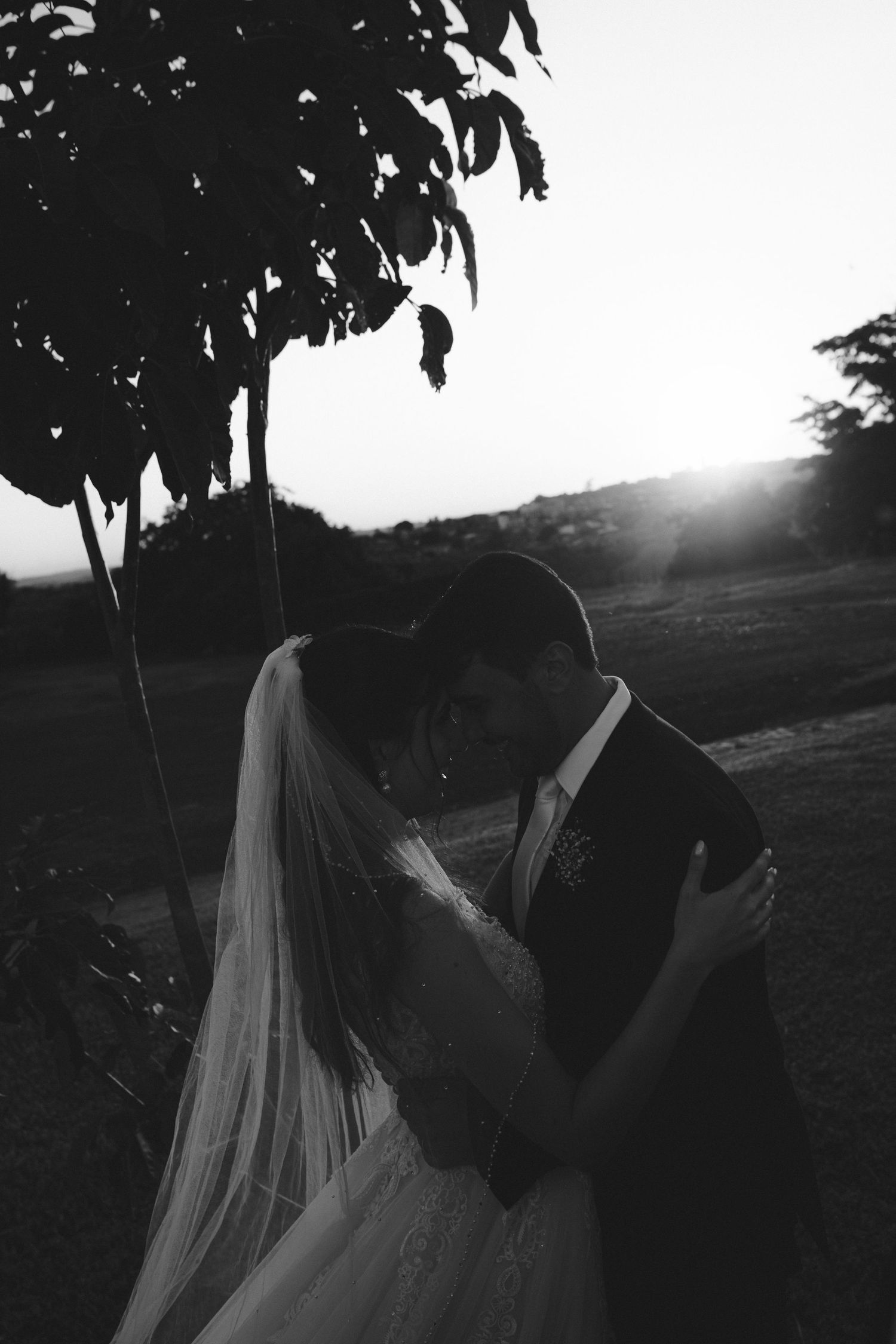 Black and white wedding photo of bride and groom embracing at sunset under a tree, veil flowing gracefully.