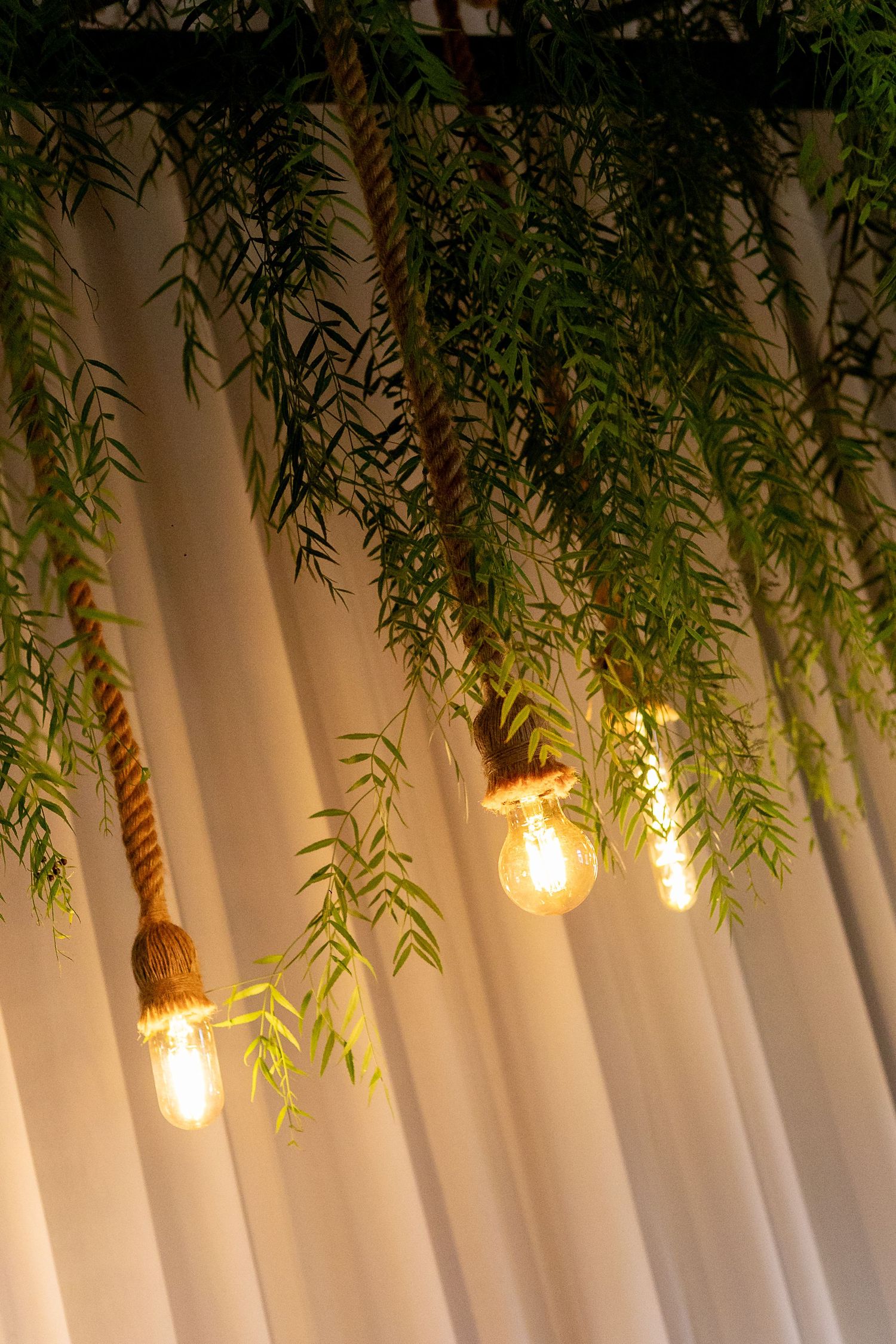 Decorative Edison bulbs hanging from rope with lush green foliage against a soft white curtain backdrop.