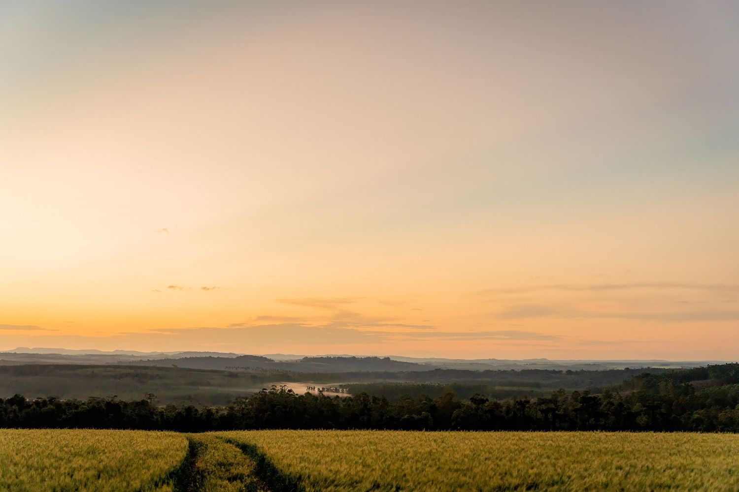 Golden sunset over a lush green field with rolling hills and a distant lake in the background.
