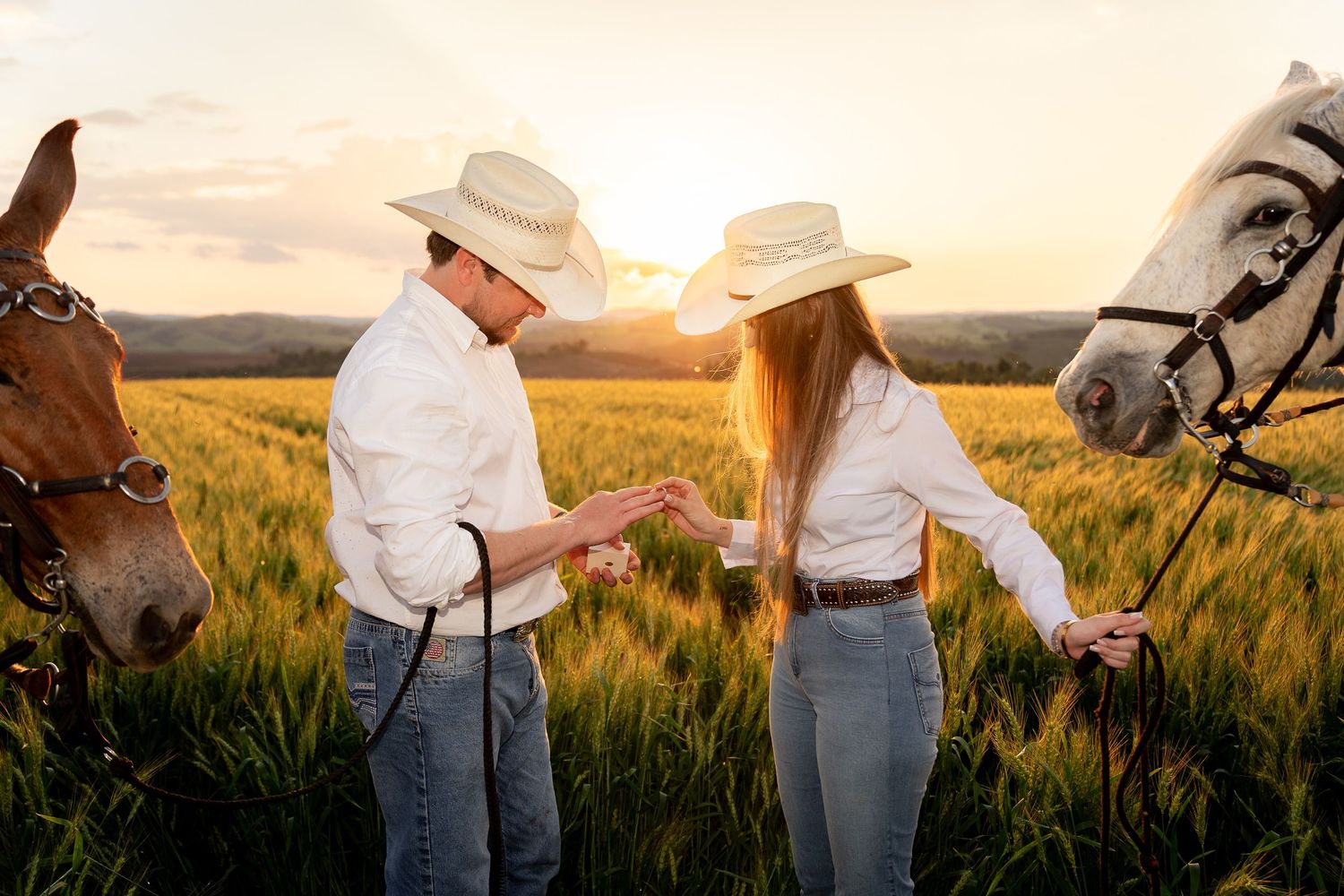 Couple in white shirts and cowboy hats holding hands in golden field at sunset with two horses nearby.
