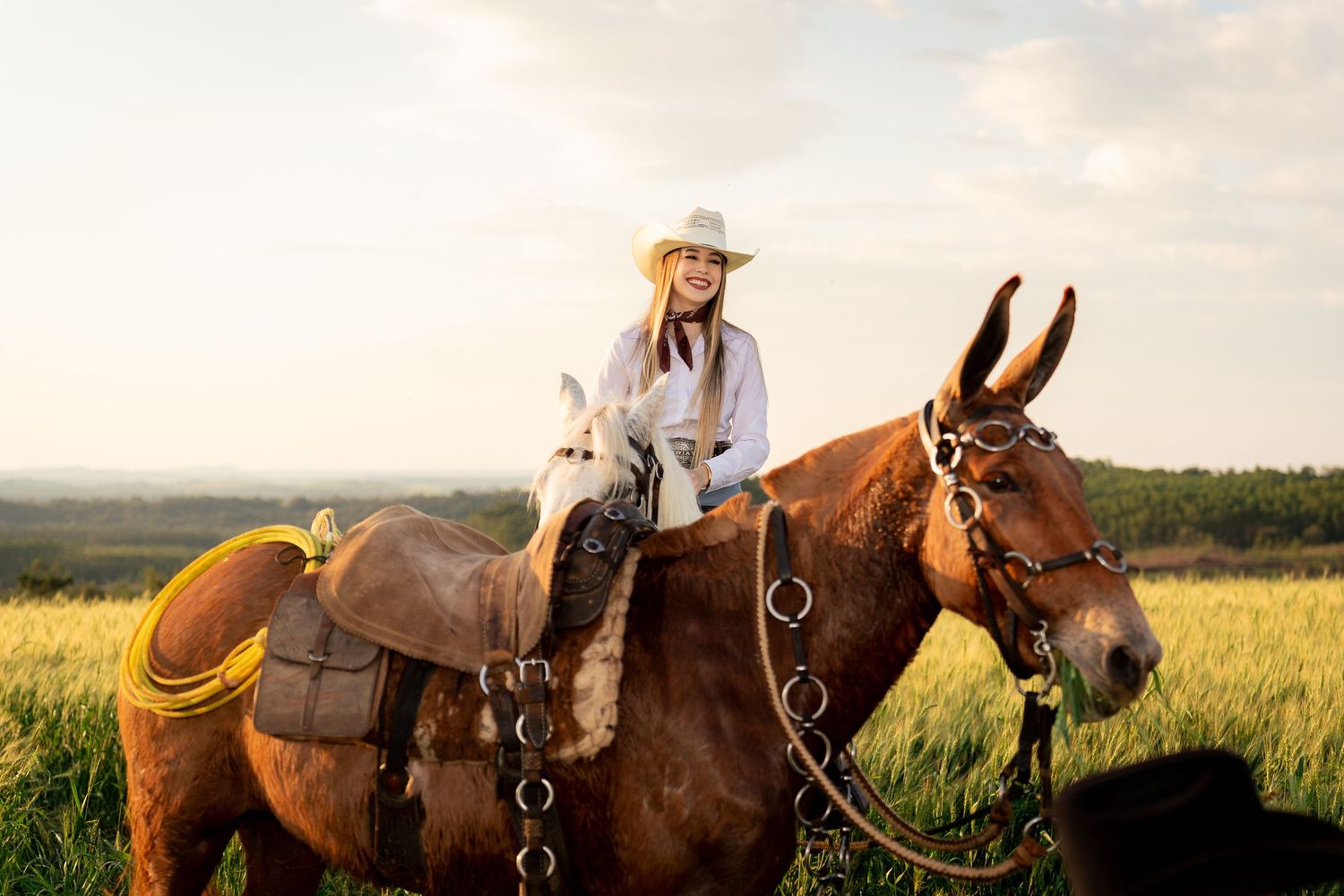 Young woman in white cowboy hat riding a brown horse in a sunny green field with a mule beside her.