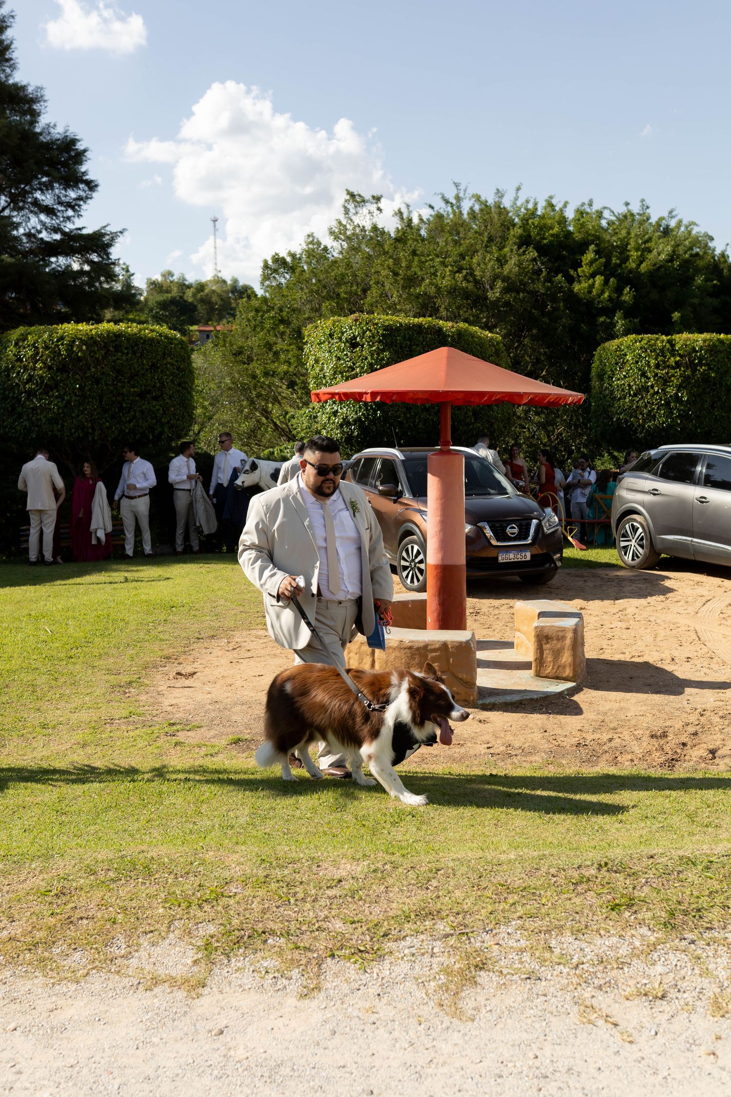 Man in suit walking a brown and white Border Collie on a leash at an outdoor garden event with cars and guests.