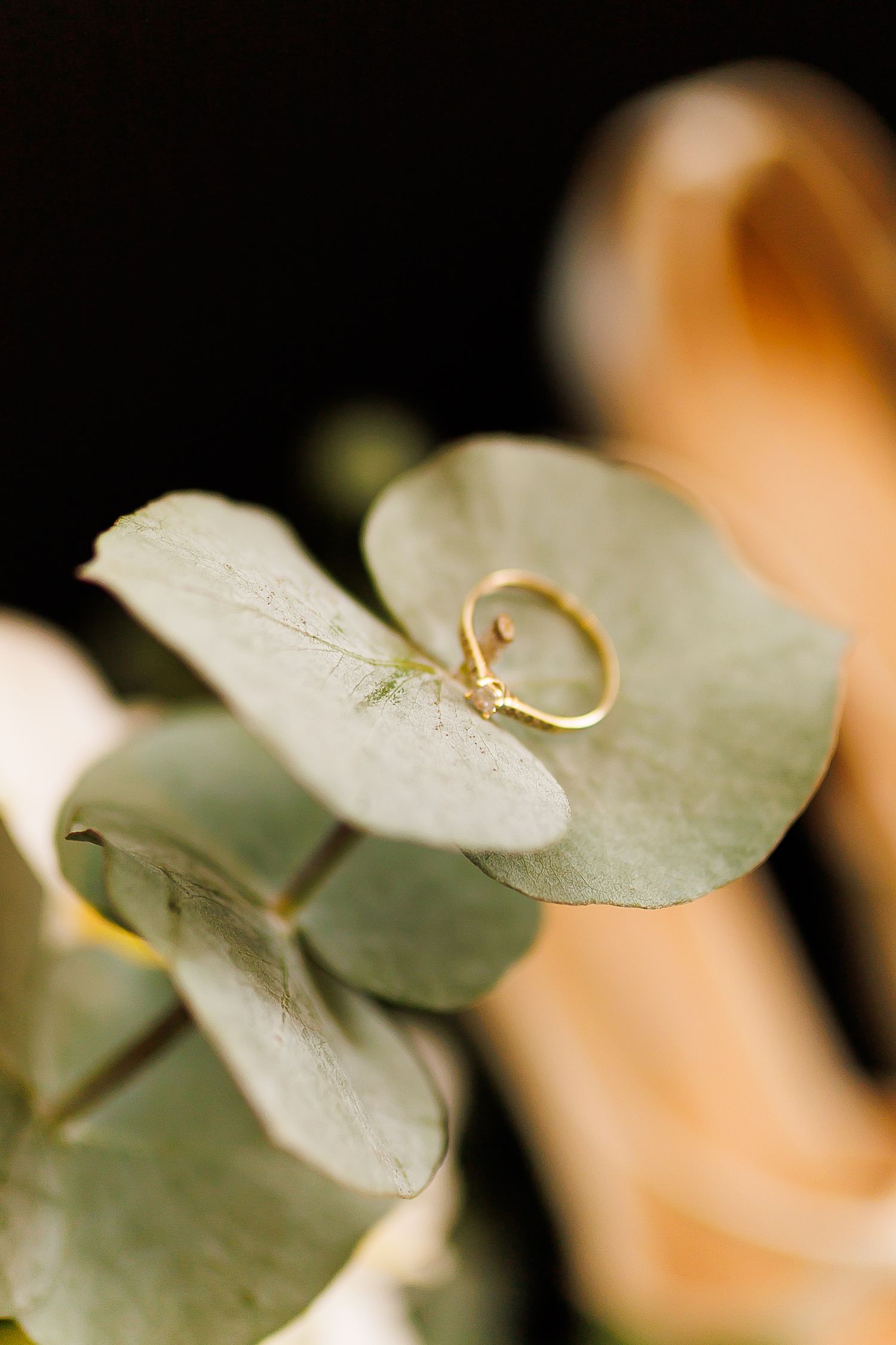 Gold engagement ring resting on eucalyptus leaves with soft bokeh background, elegant wedding detail photography.
