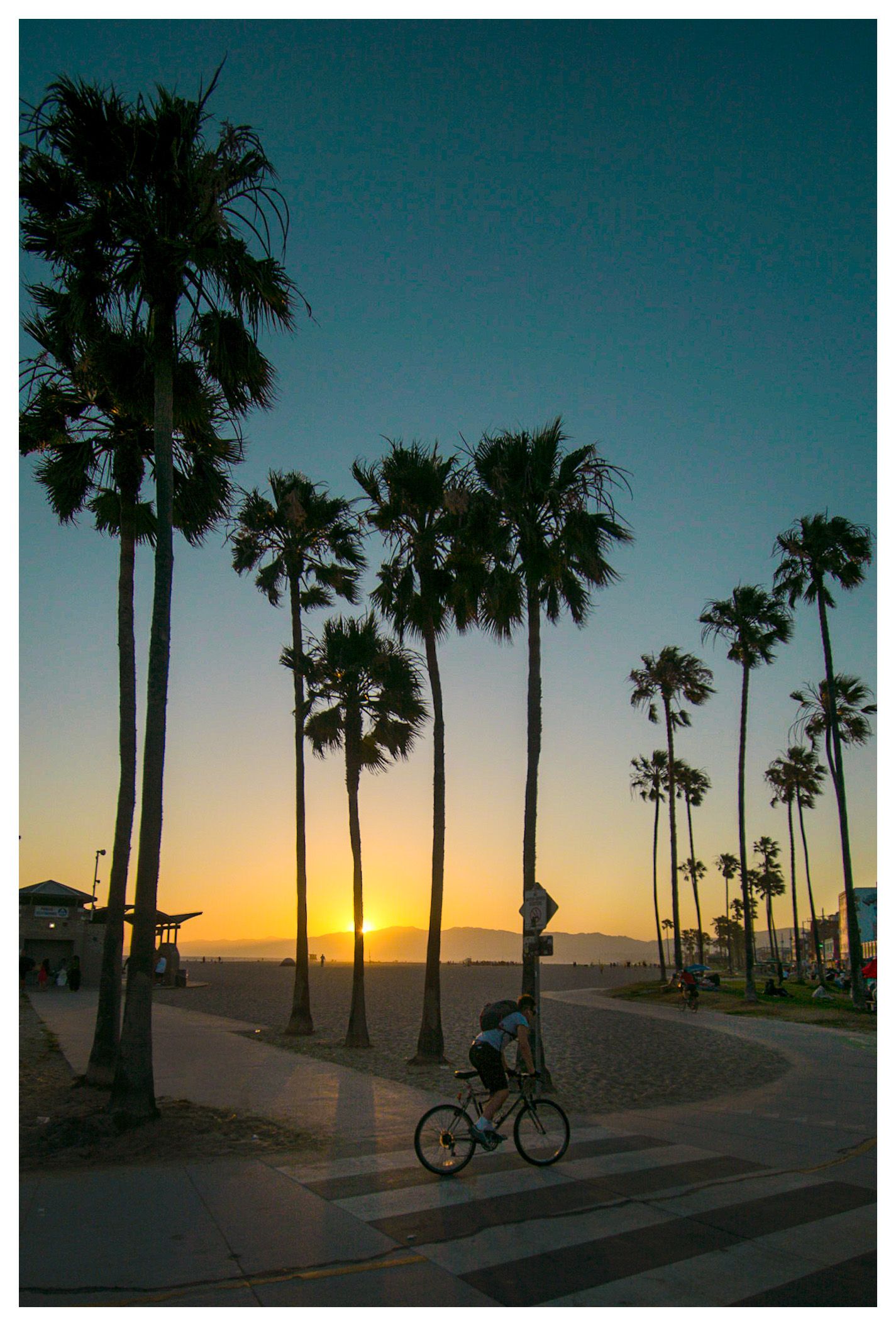 Venice Beach, CA | June 2020