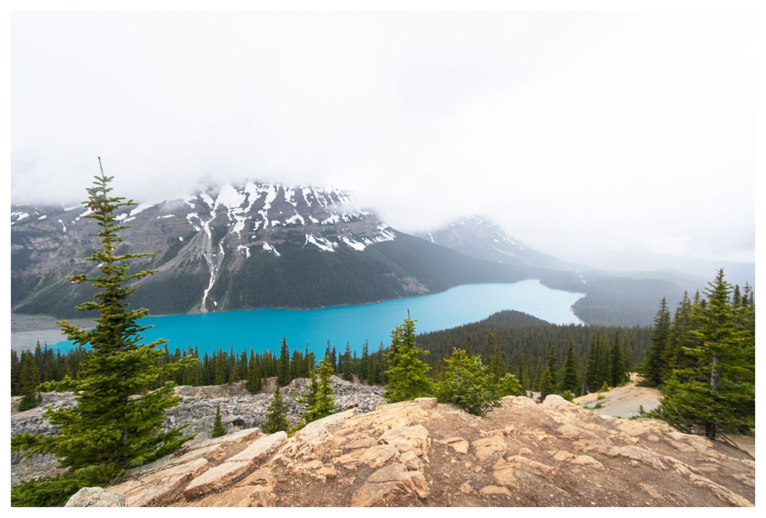 Peyto Lake | Banff National Park, AB, Canada 2026
