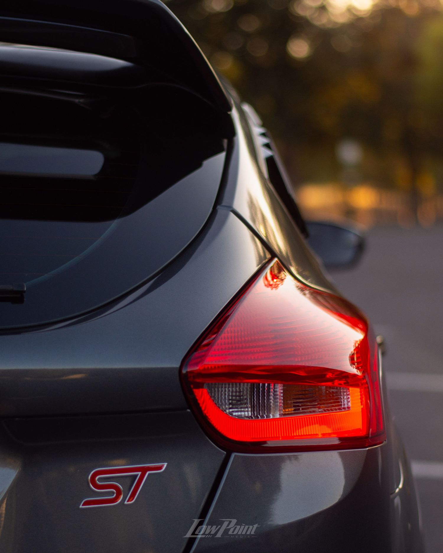 Magnetic Grey Ford Focus ST photographed in front trees at golden hour