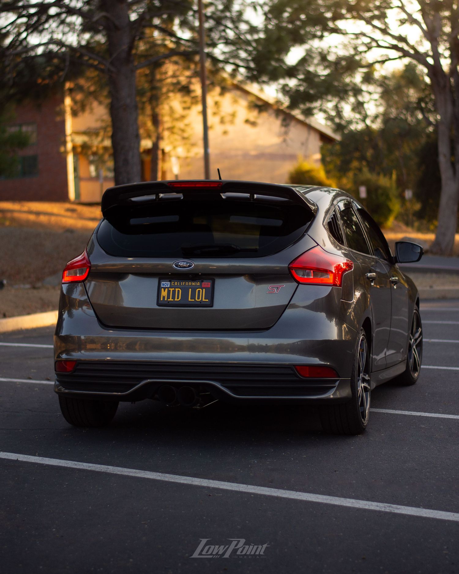 Magnetic Grey Ford Focus ST photographed in front trees at golden hour