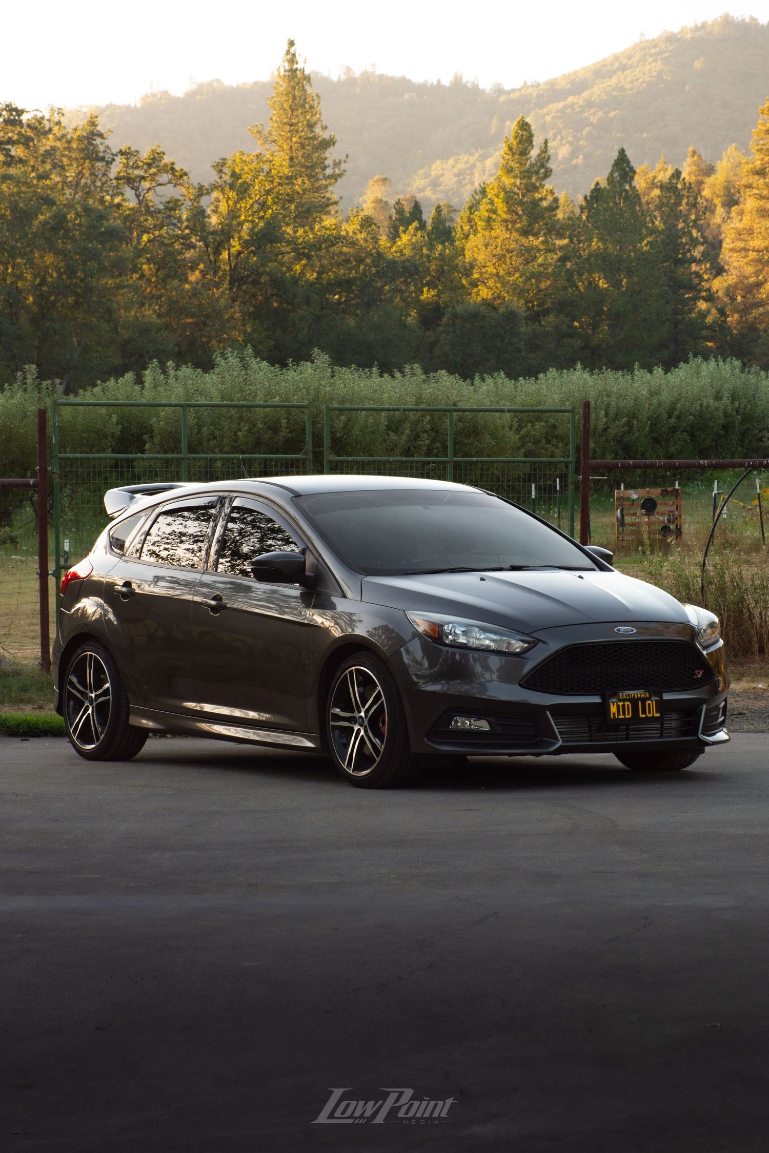 Magnetic Grey Ford Focus ST photographed in front trees at golden hour
