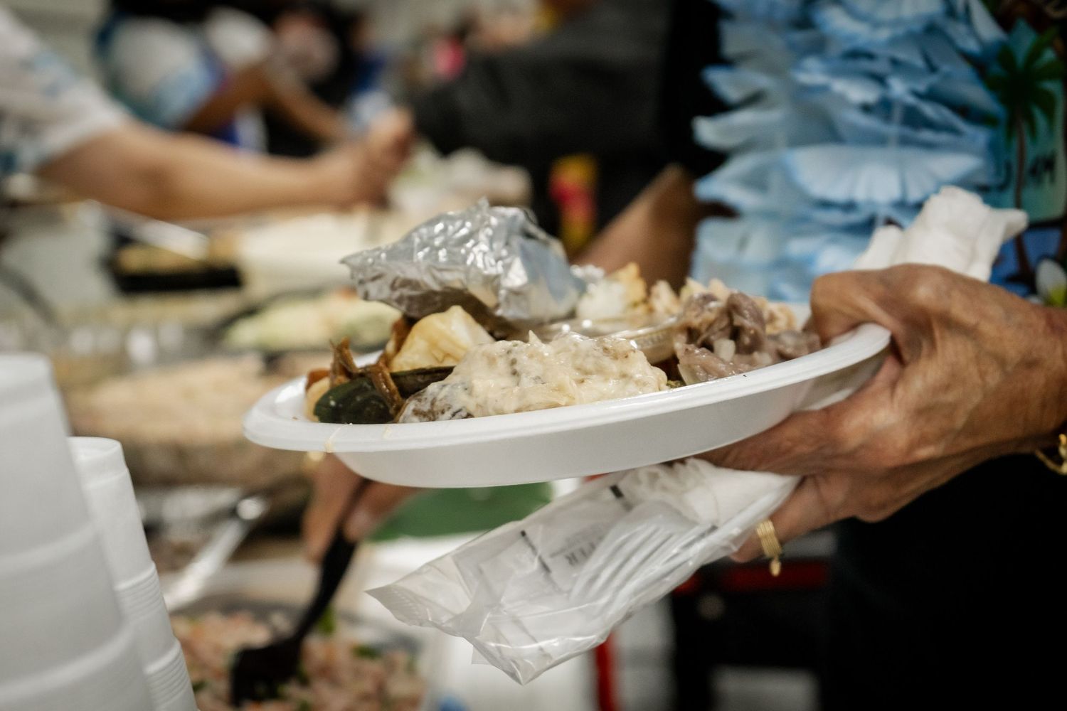 A person holds a plate of traditional food at a cultural buffet event.